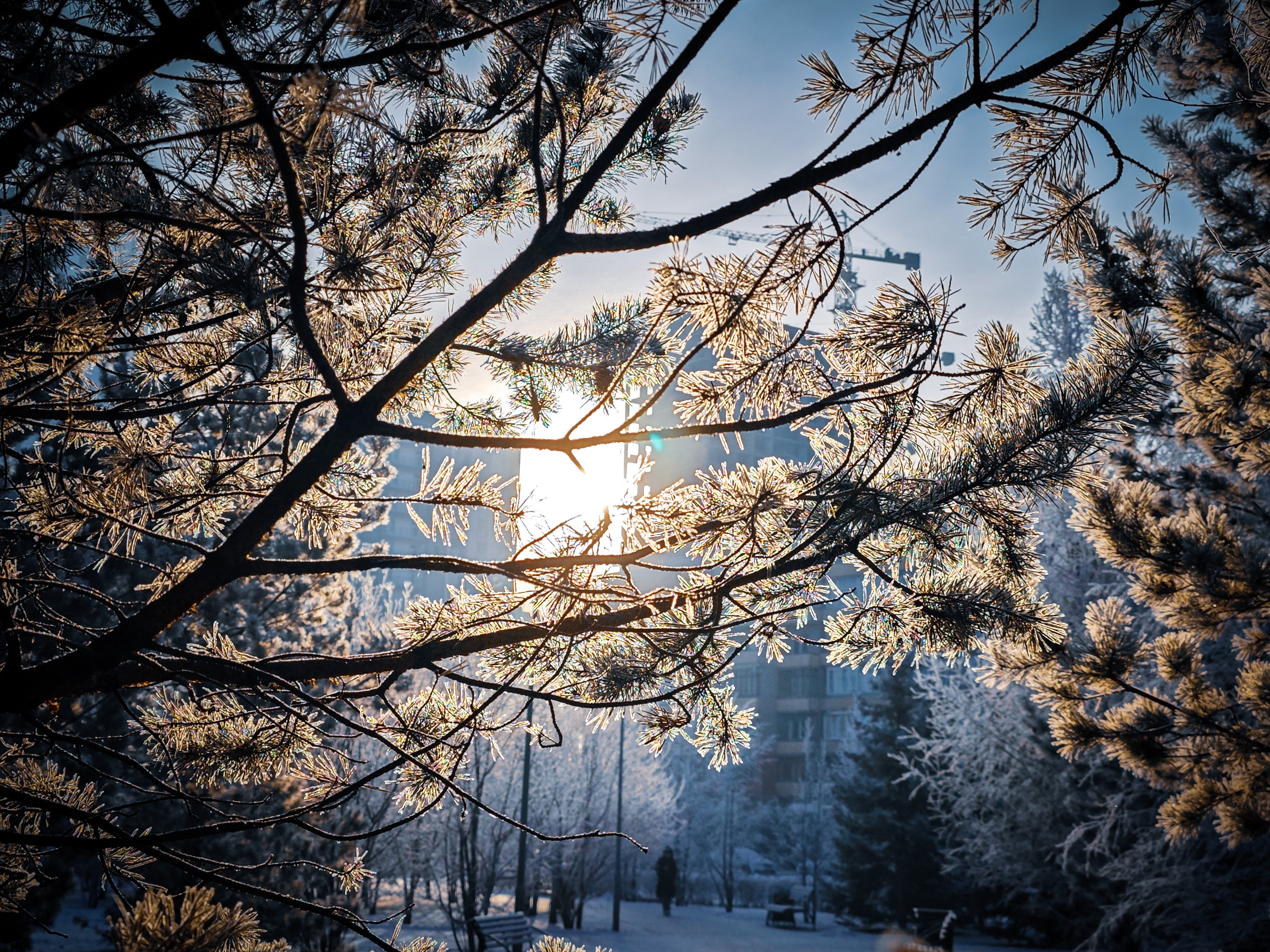 Скоро лето. Игорь Урывский. Фотограф Красноярск