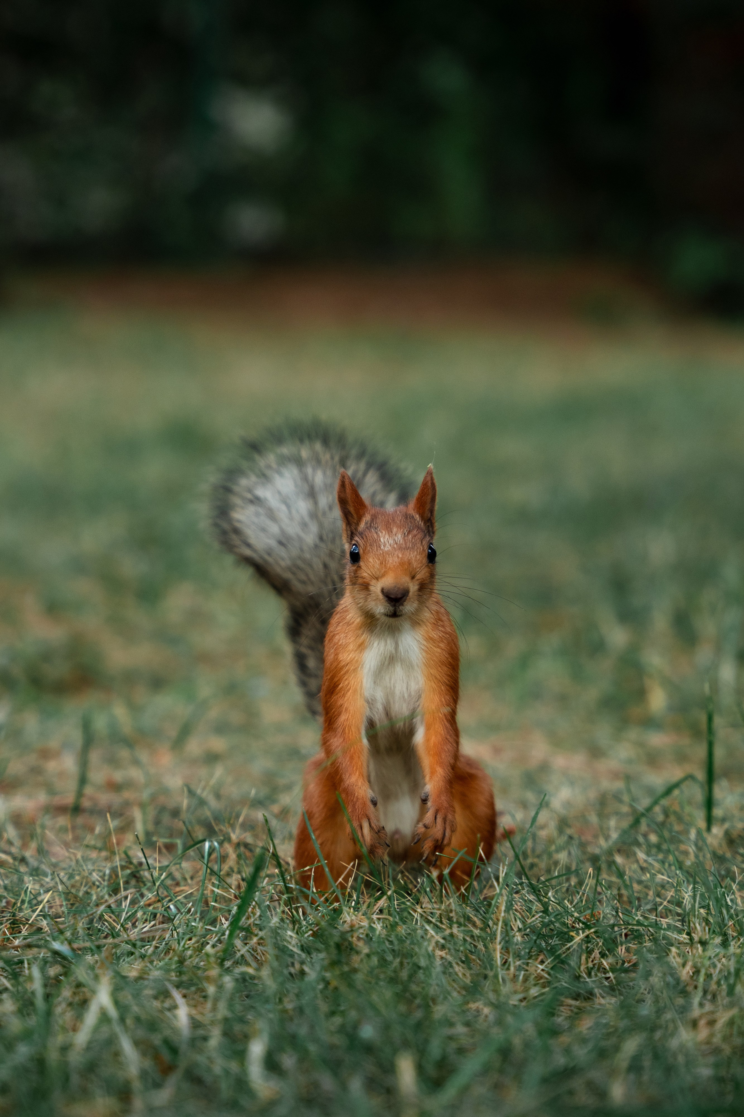 Роман&Зарина. Репортажный фотограф Дмитрий Юрчук