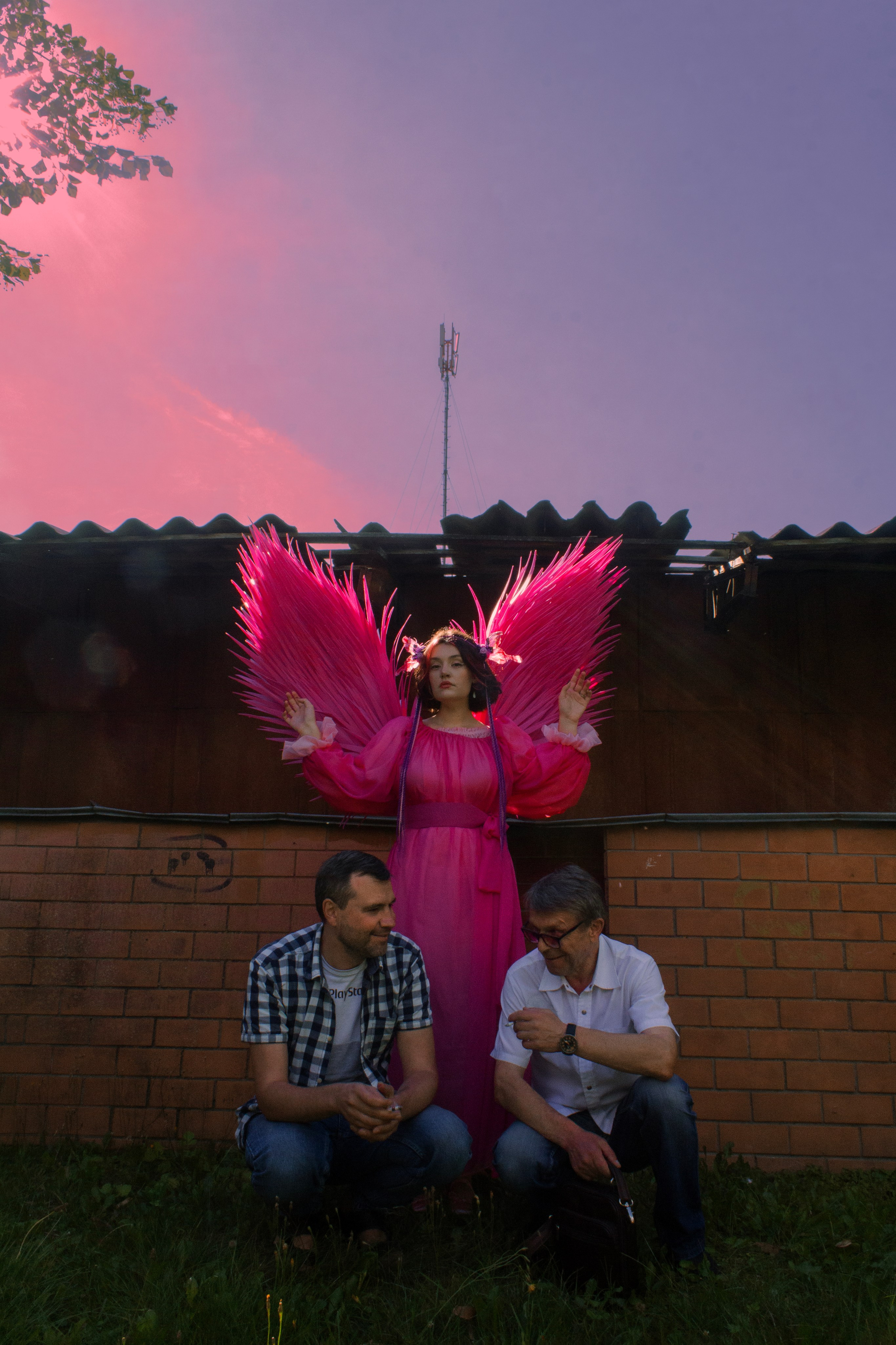 Земля под розовыми крыльями