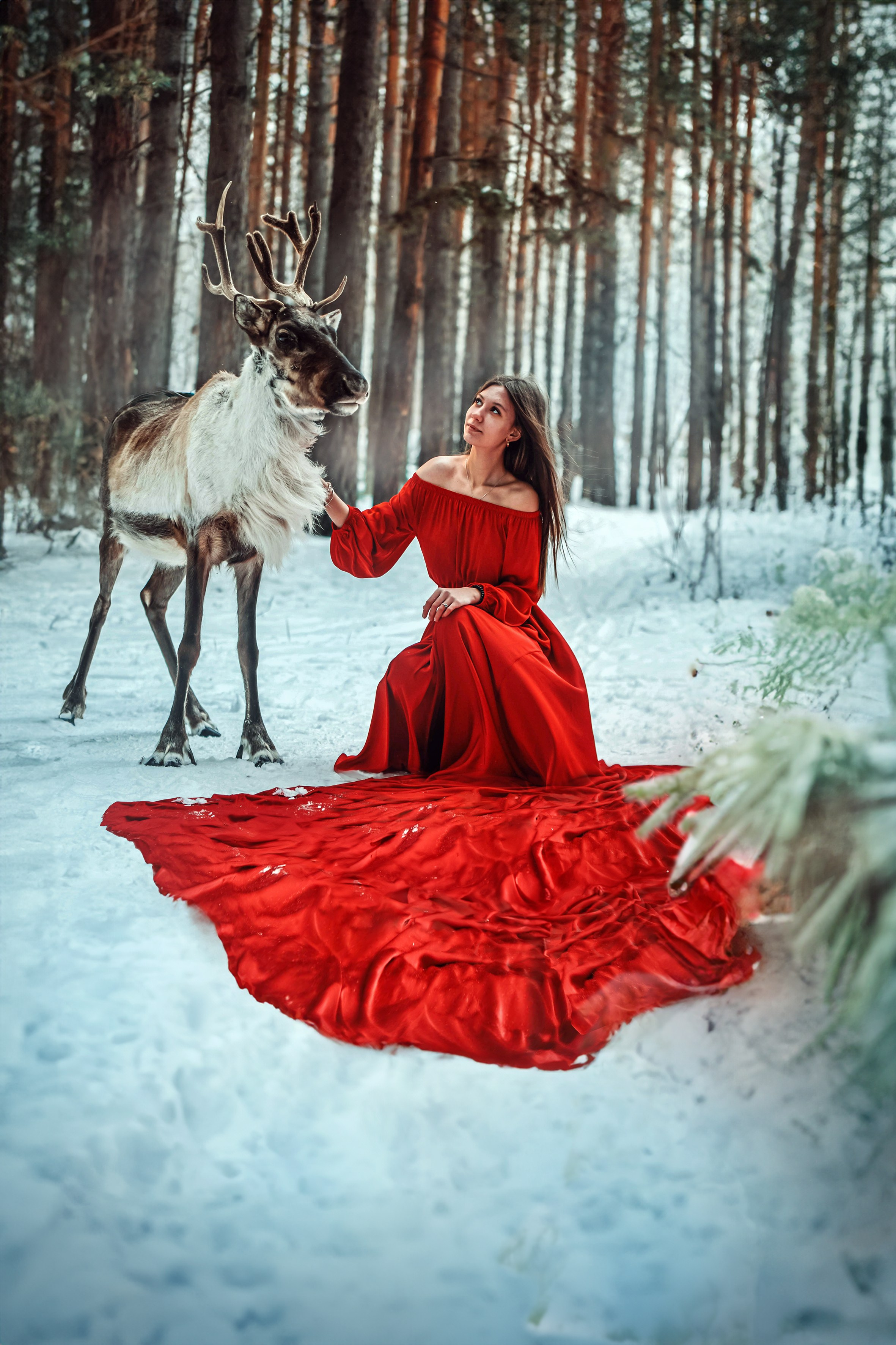 Олениха Нося 2024. Конный фотограф в Красноярске — Любовь Похабова