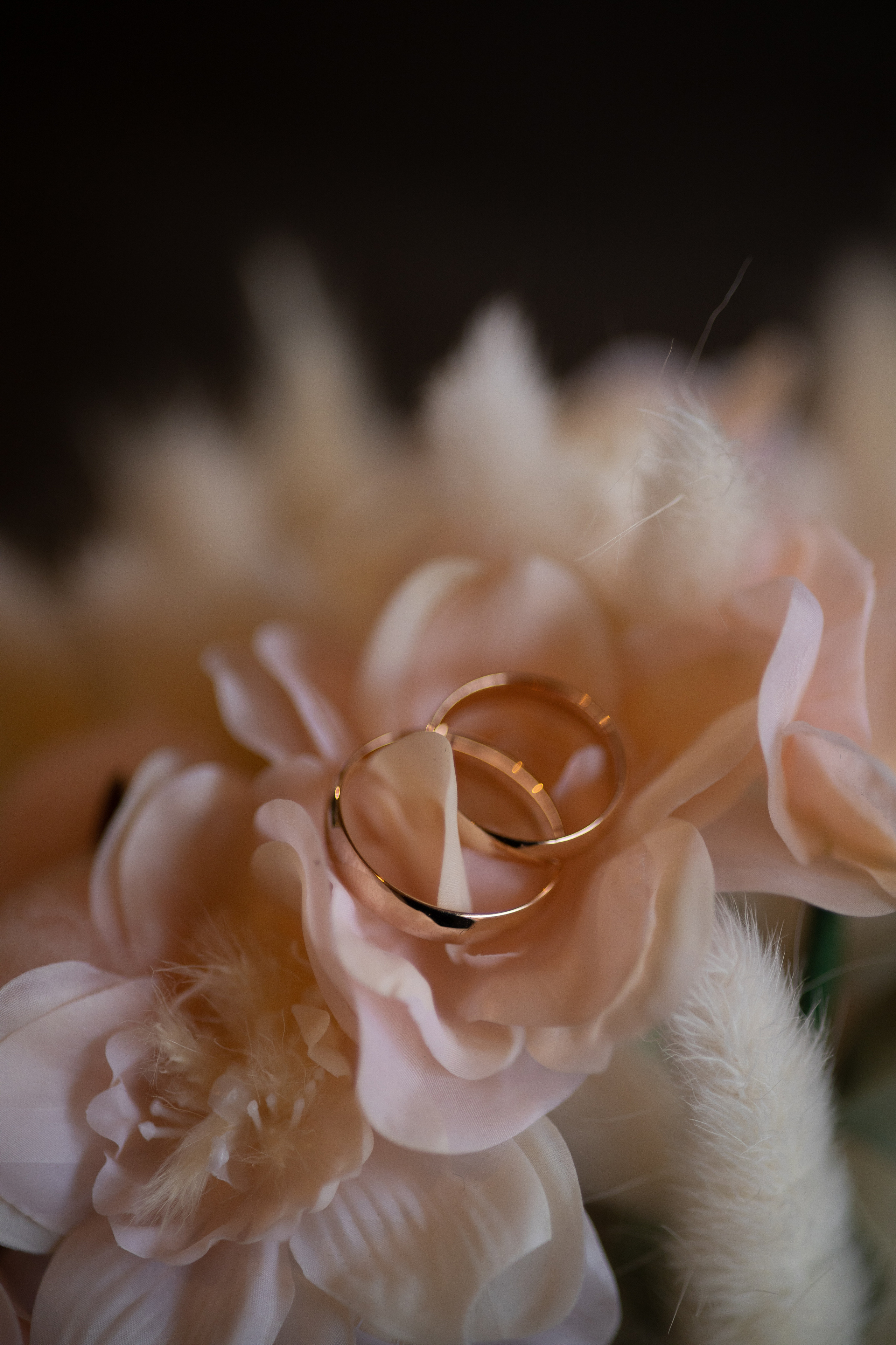 Свадебный фотограф Санкт-Петербург