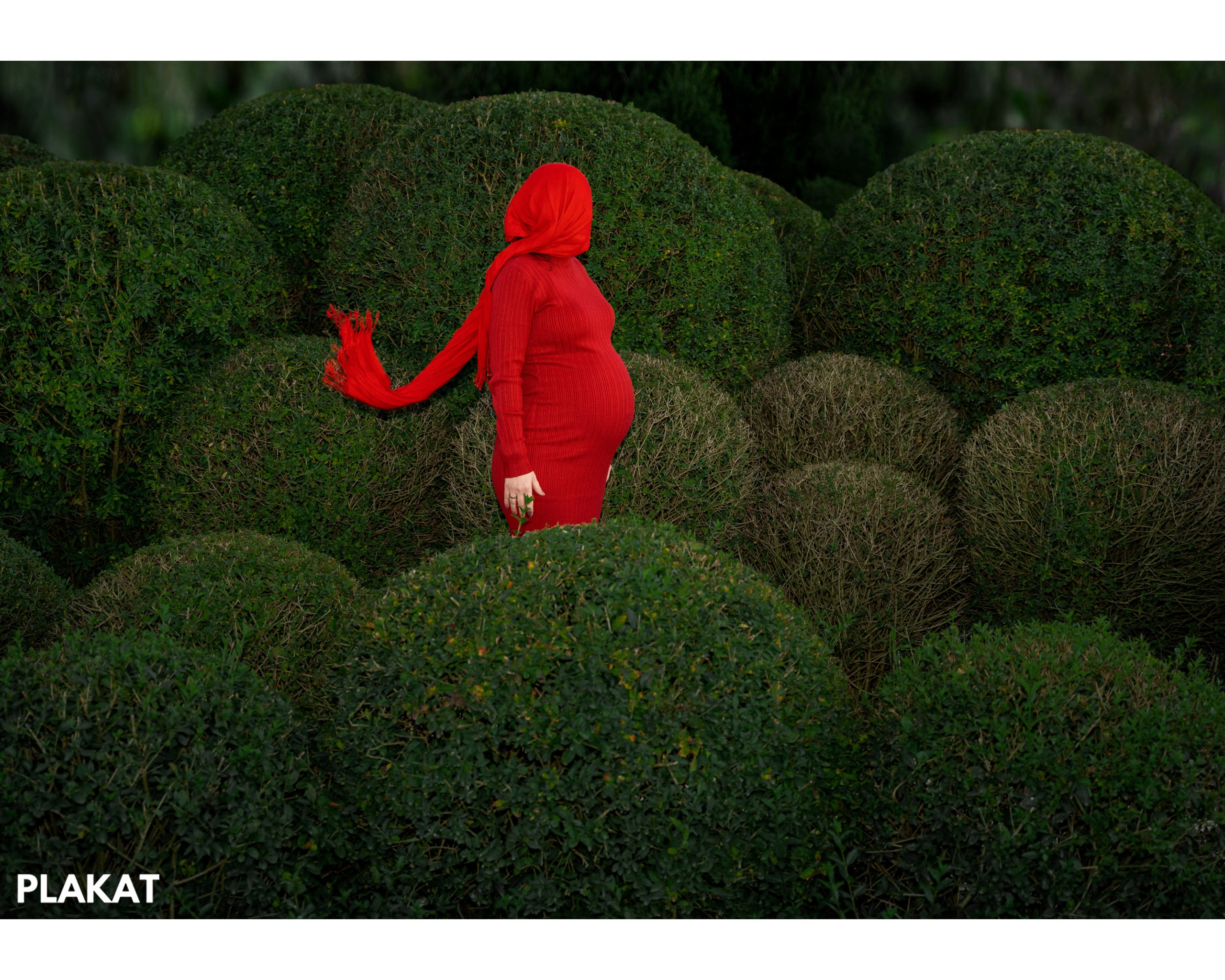 @Elizaveta_vinogradskaya