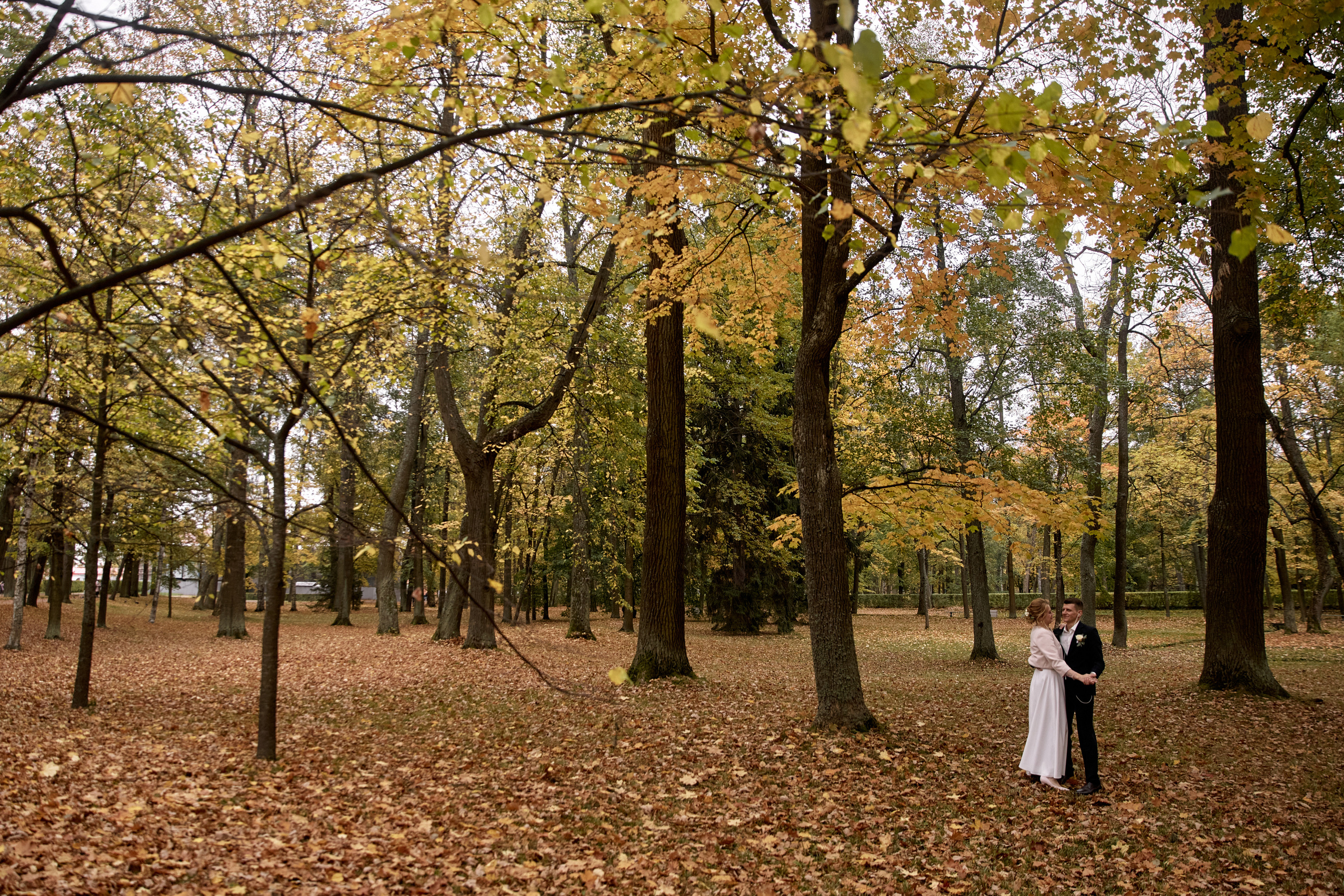 Y&A october 2020. Свадебный и репортажный фотограф в Санкт-Петербурге | Михаил Песиков