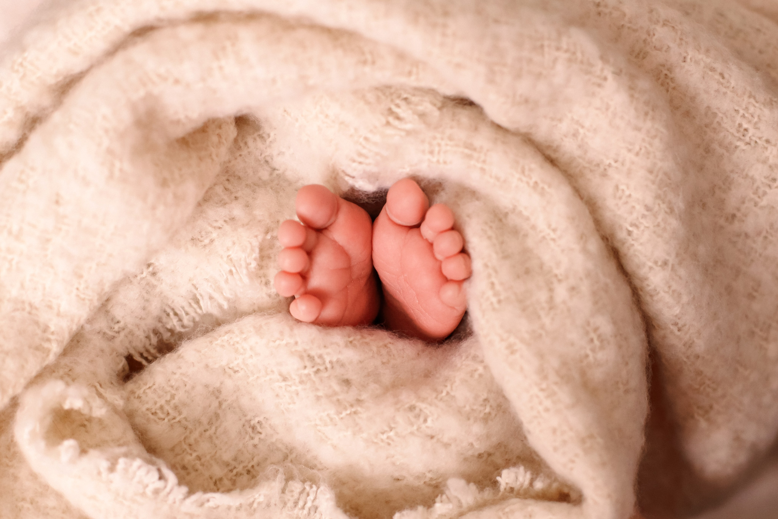 Даниил 17 дней. Семейный фотограф и фотограф новорожденных в Санкт-Петербурге Алина Фе