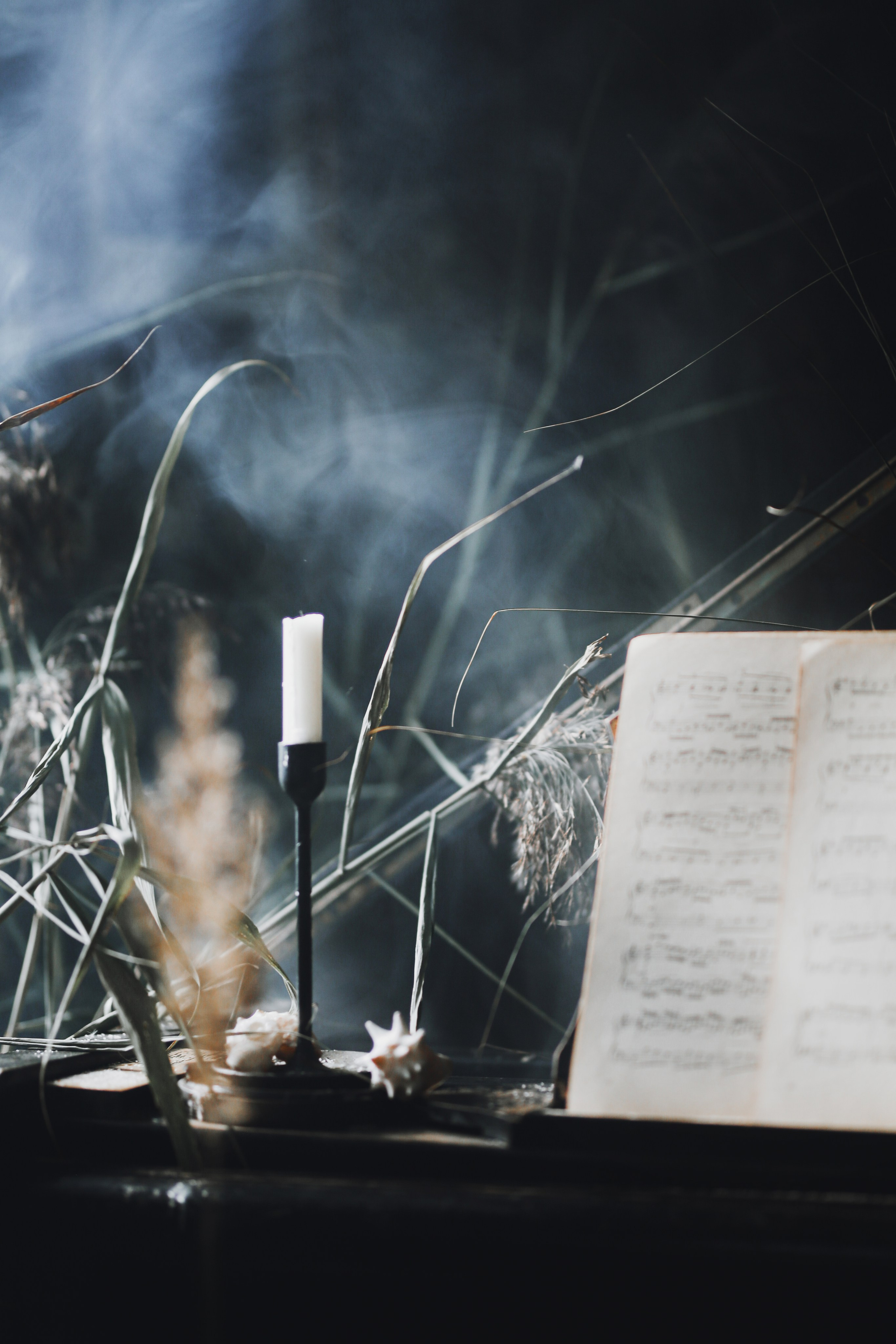 Писатель в Drozd House. Фотограф Анастасия Залевская