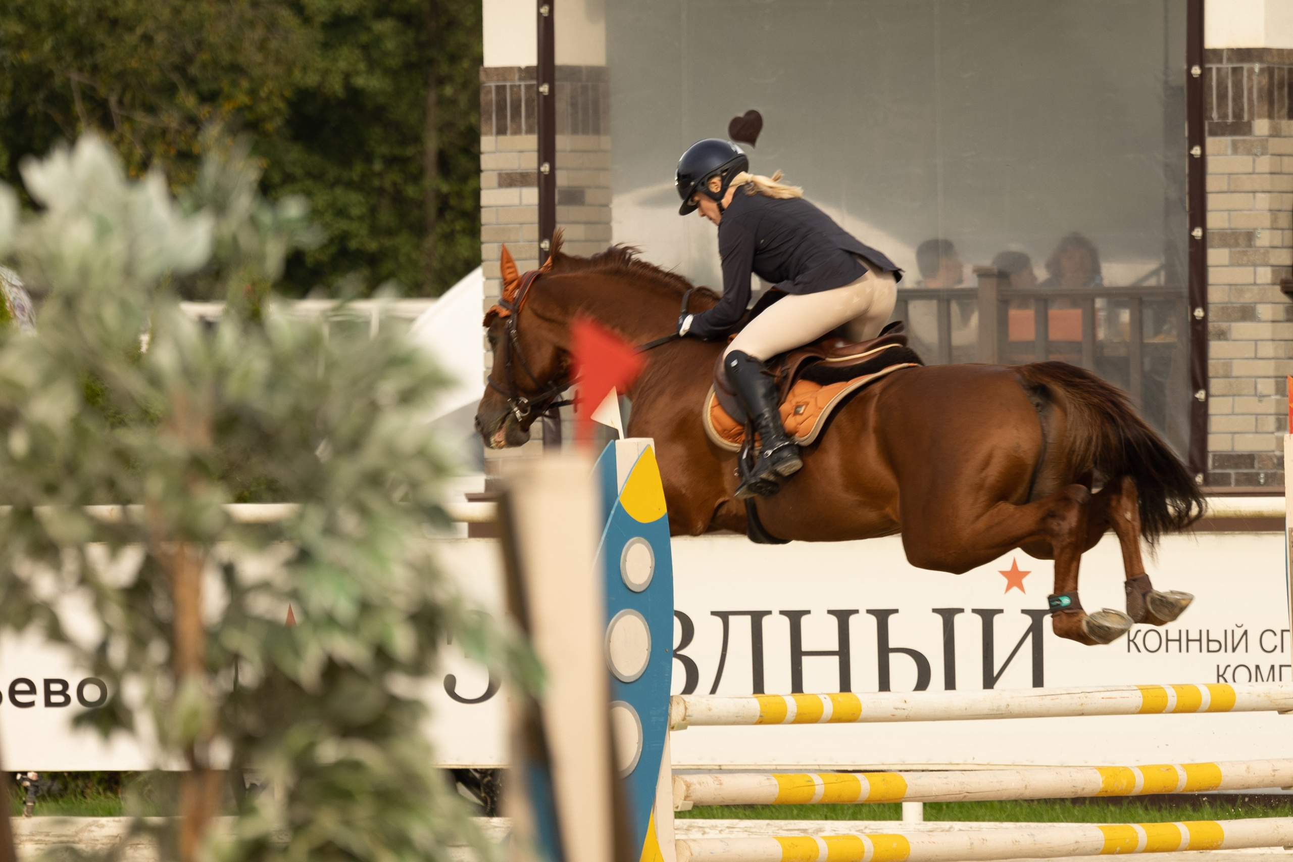 Соревнования по конкуру. Фотограф в Москве Светлана Богначева