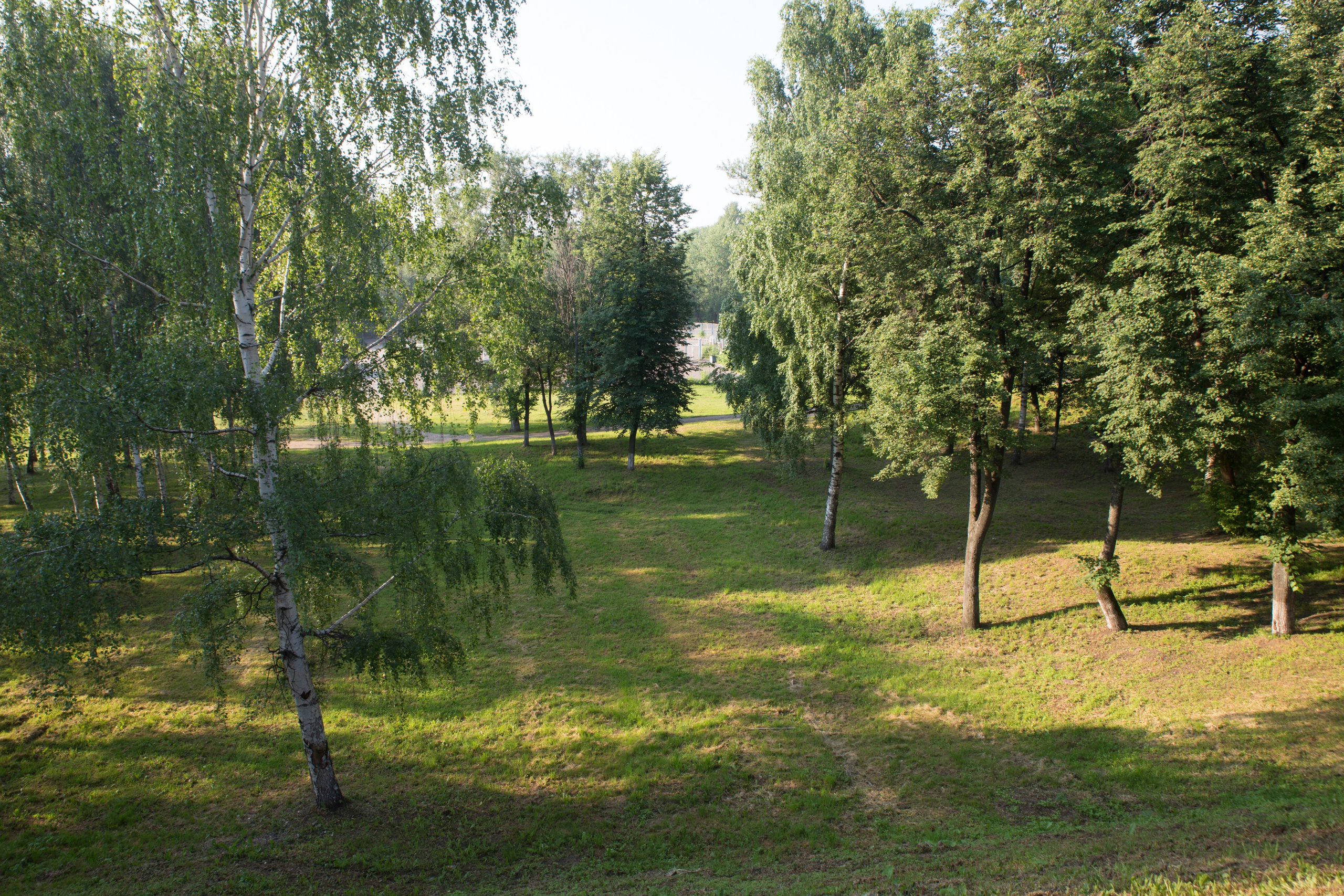 Г. Ярославль. Студия Максима Белослюдцева