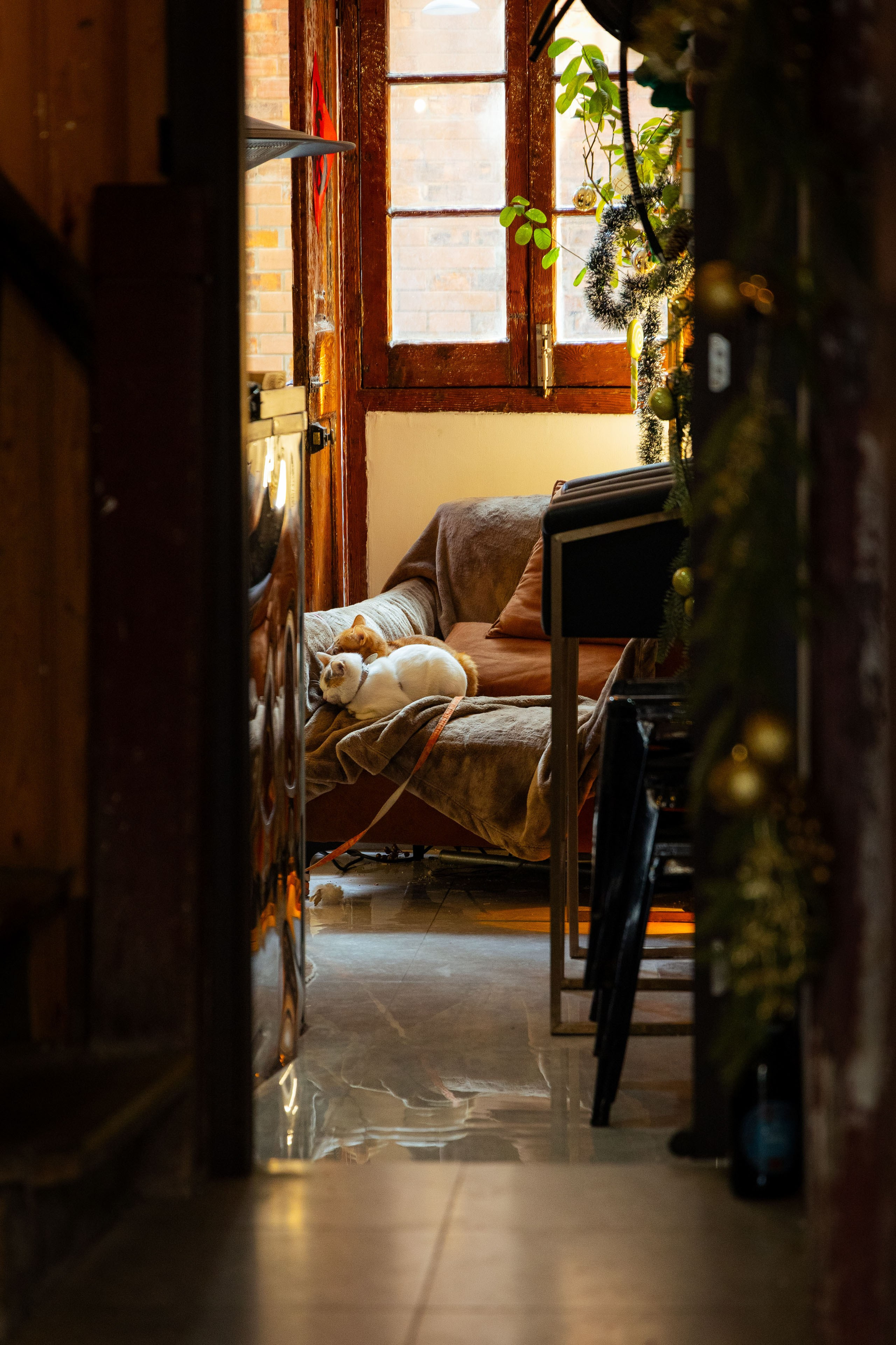 Шанхай (март 2026). Фотограф Виноградов Константин