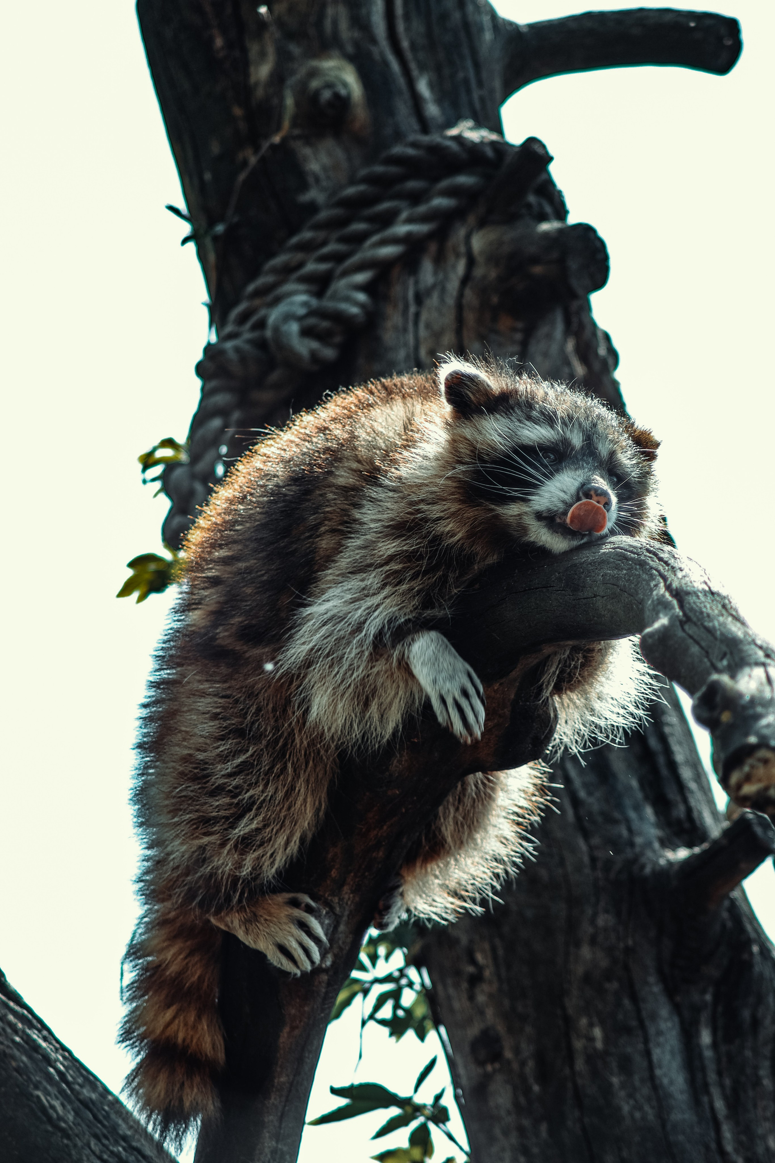 Р А З Н А Я — Ж И В Н О С Т Ь. — Digital Noise —