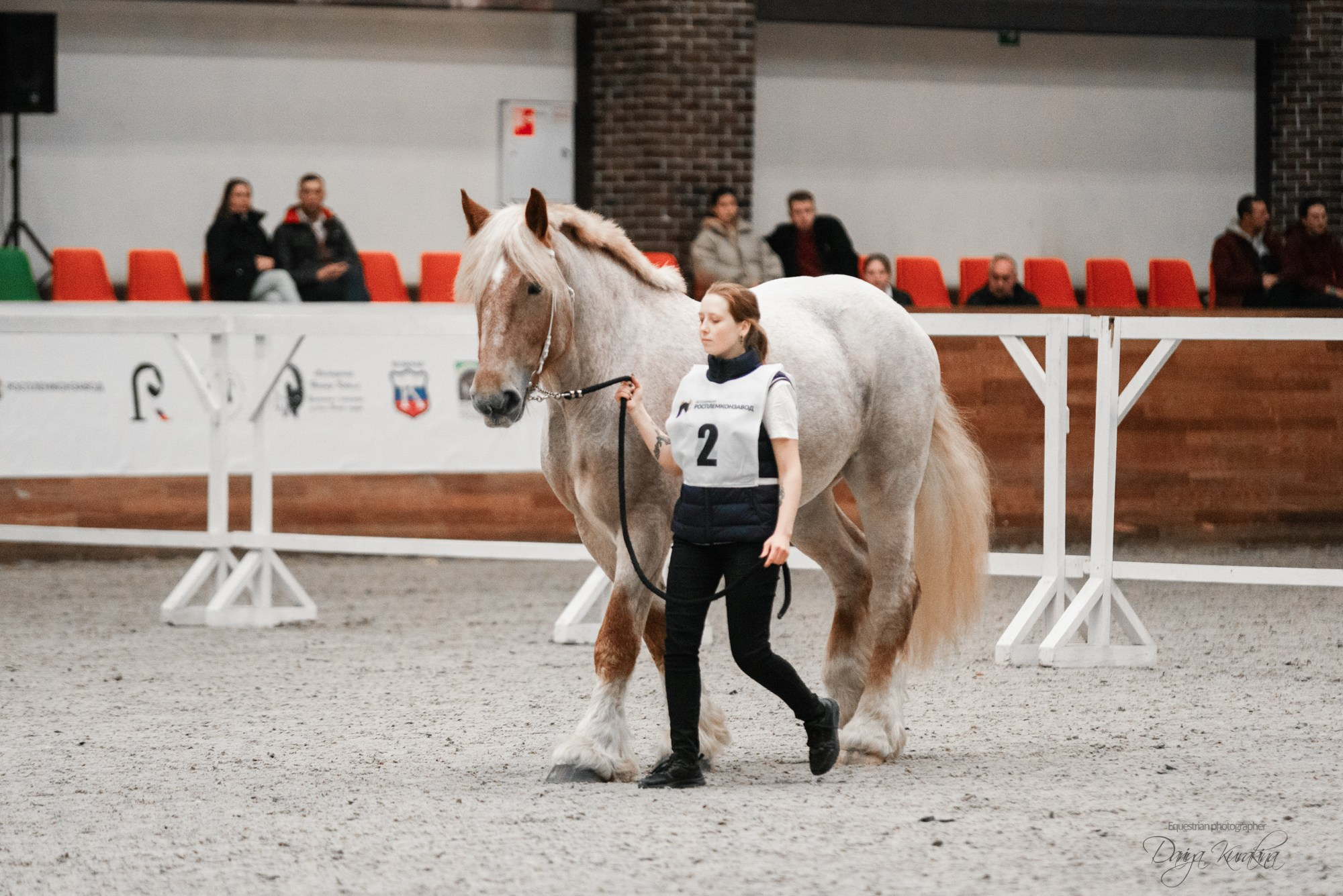 8-я международная выставка Конная Россия. Конный фотограф Куракина Дарья • Фотосессии с лошадьми