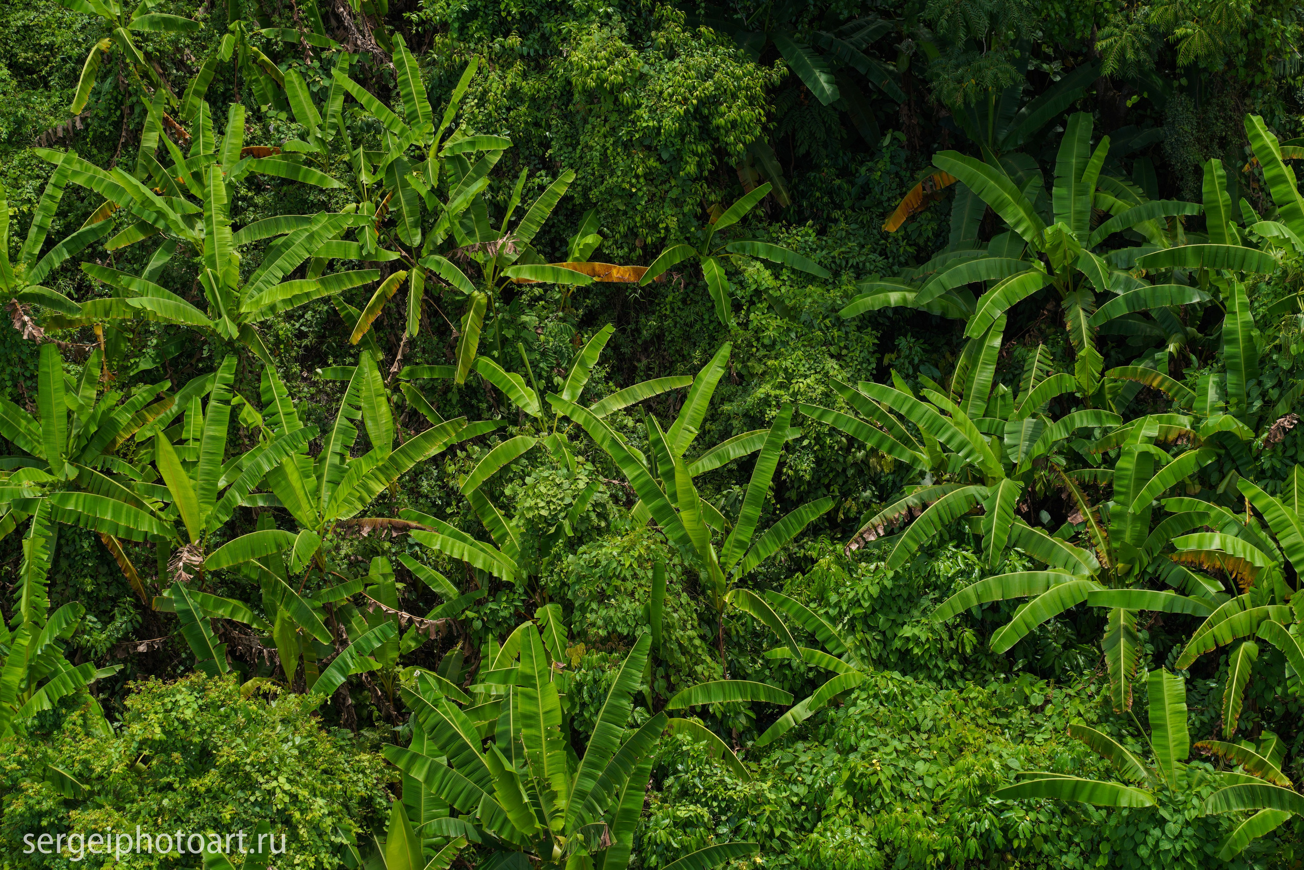 Дананг. Фотограф Сергей Кишкель Дананг Нячанг Фукуок