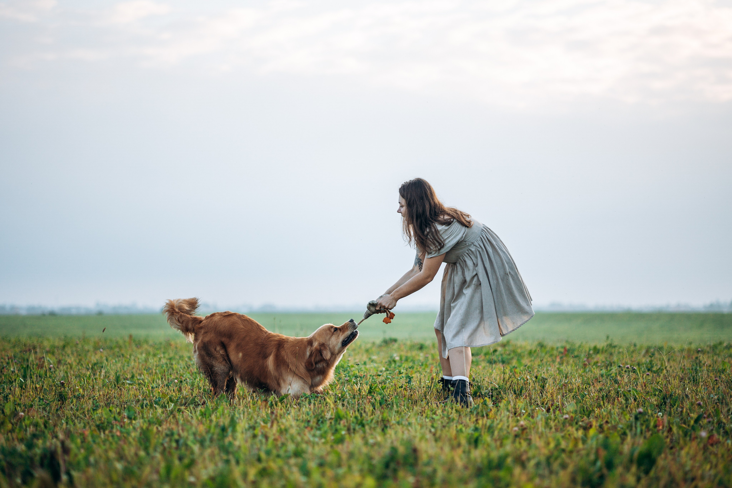 Аня и Ноллан. Фотограф — Анималист | Санкт-Петербург