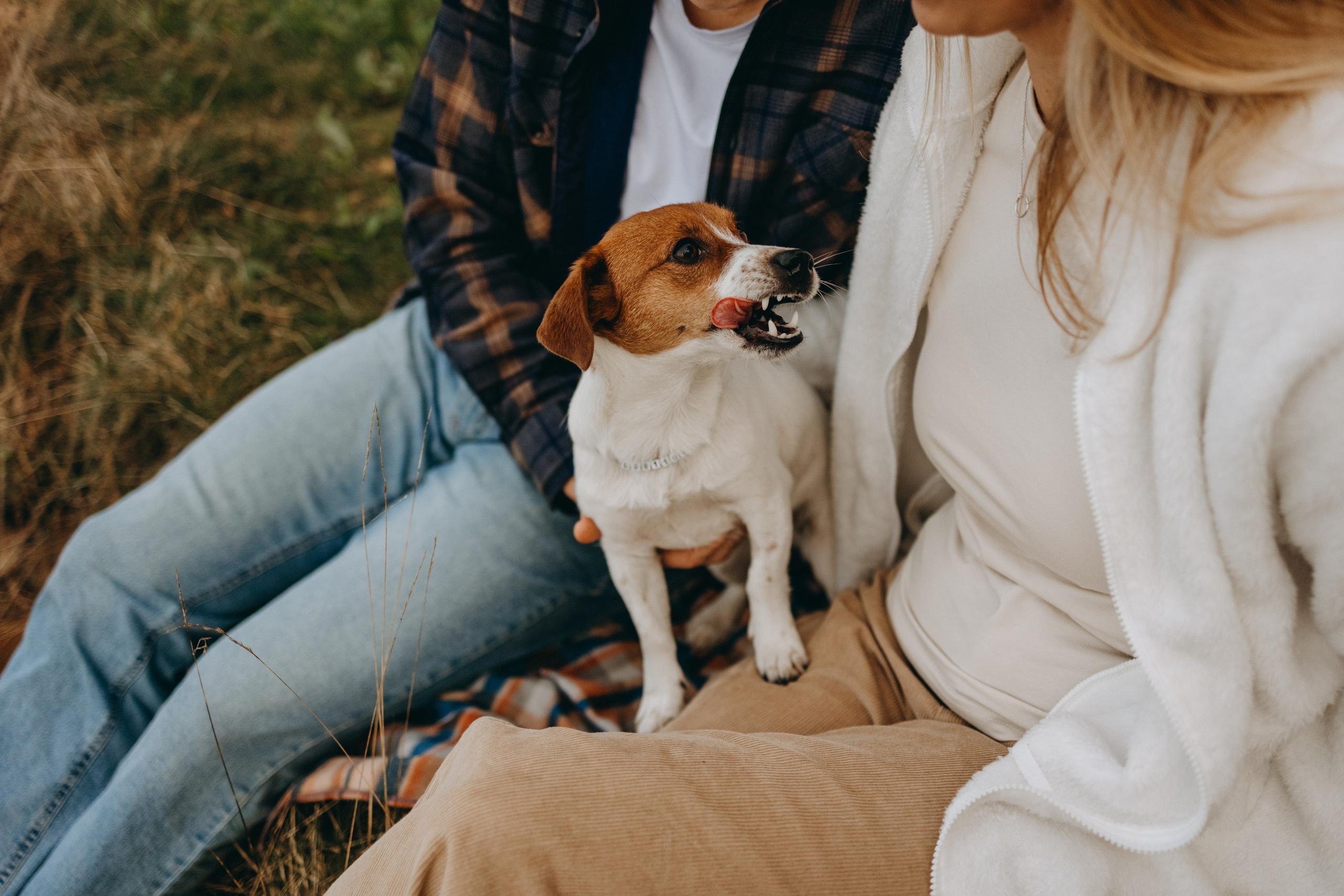 Лея и ее семья. Фотограф — Анималист | Санкт-Петербург