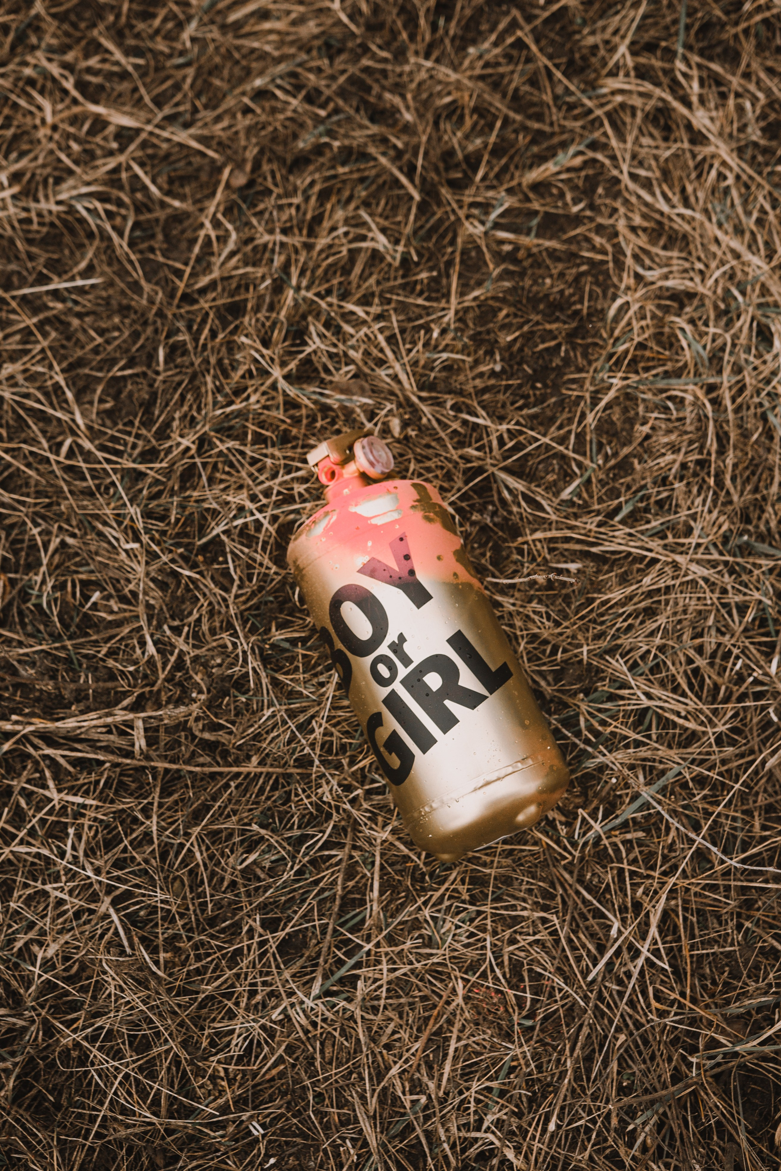 DANIEL & MARIE│PYATIGORSK. Фотограф Настя Конник | Пятигорск | Эльбрус | Домбай | Архыз | Видеограф КМВ