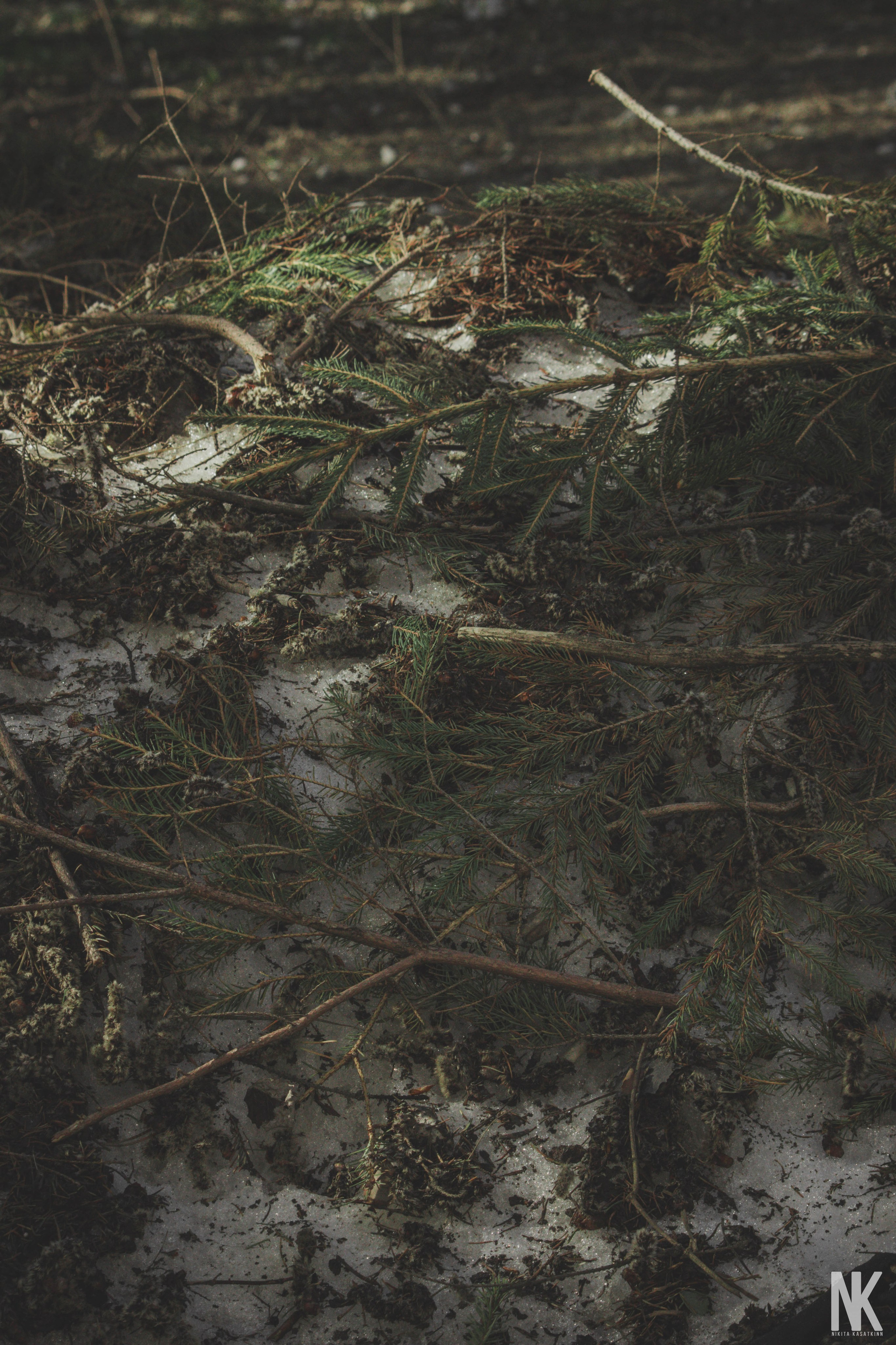 Саша. Фотосессия в лесу. Касаткин Никита. Фотограф