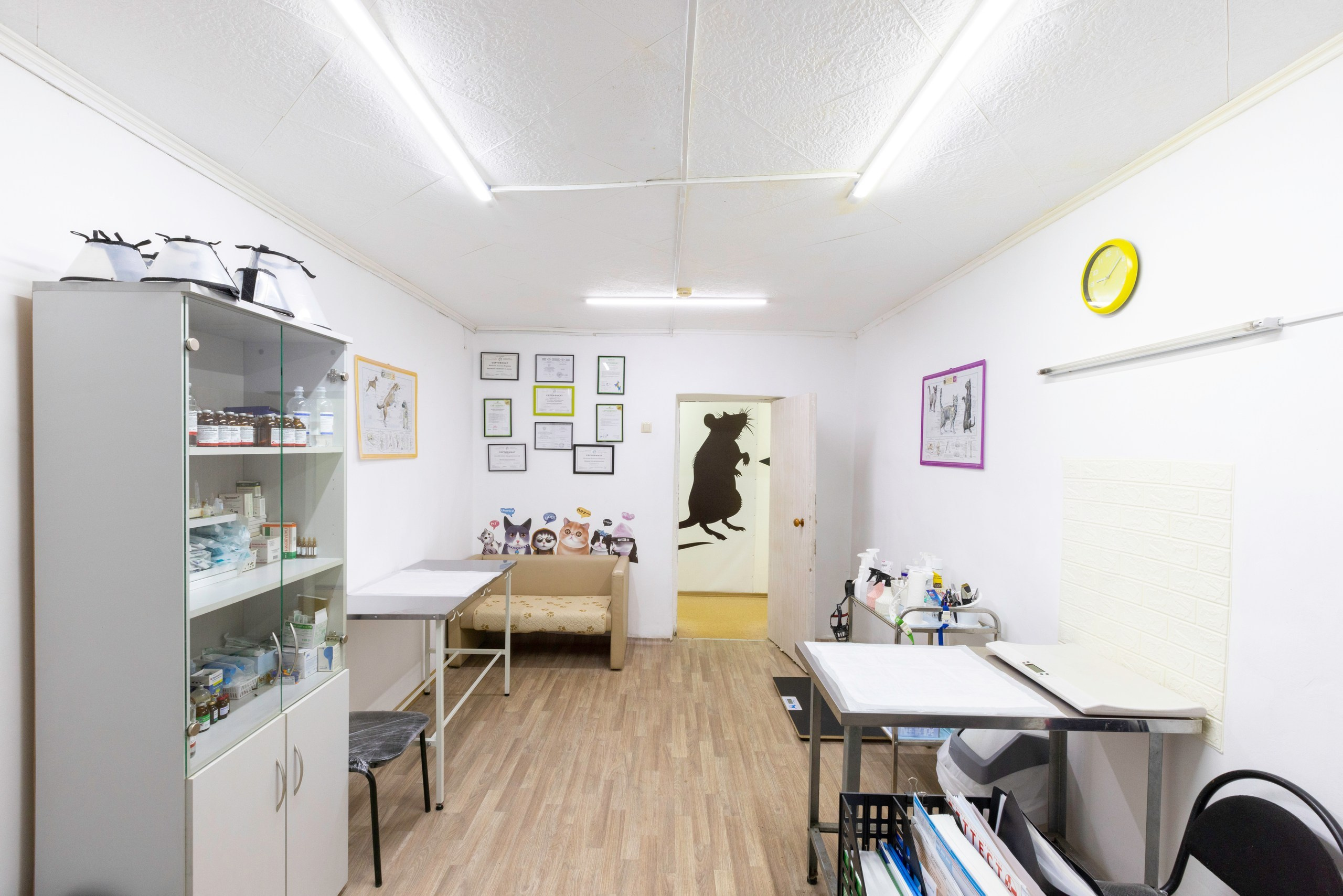 БАРОН. Ветеринарная клиника. Фотограф в Туле Крупский АнДРей. Фотостудия «КАДР71» в Туле