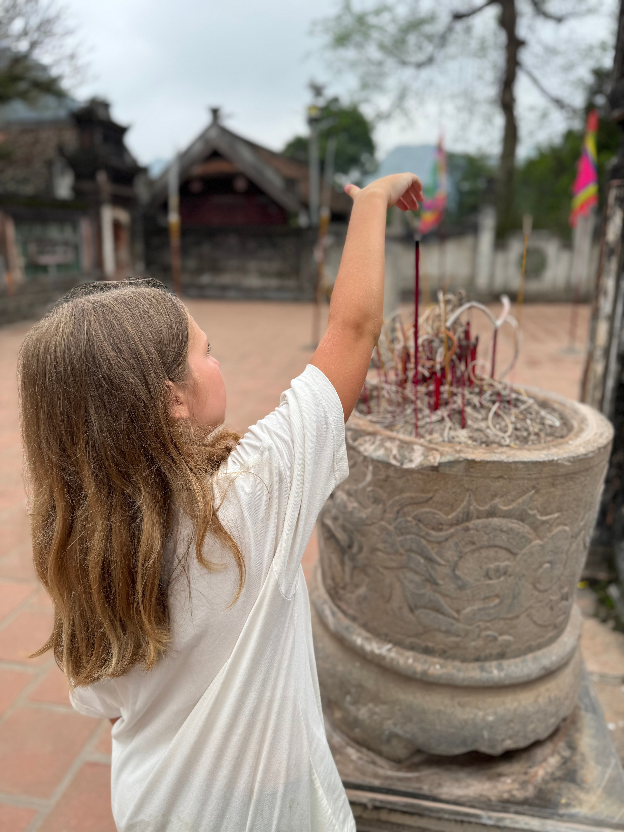 Вьетнам.Ханой.мы 2025. А вот и да!