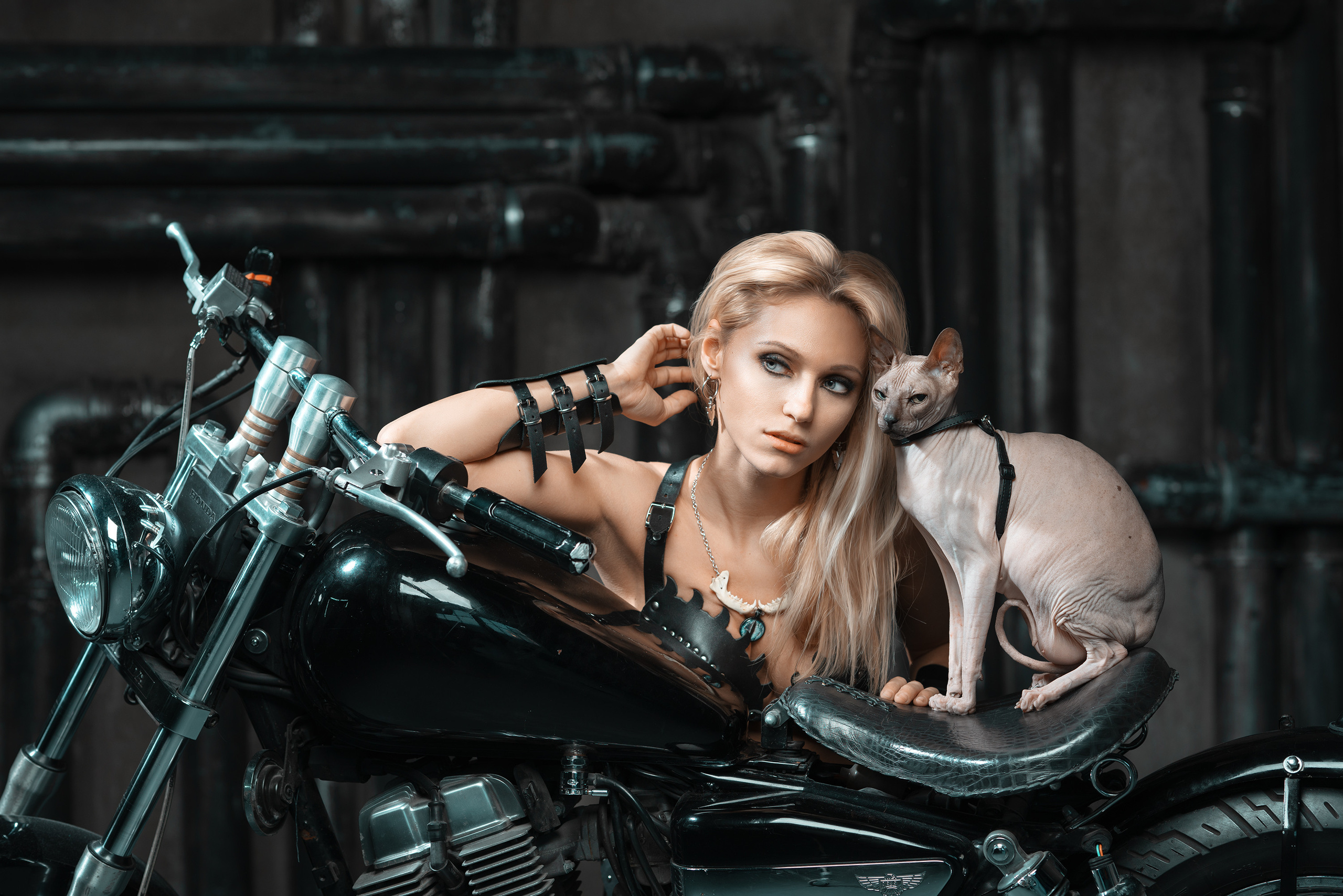 Студийная съемка. Профессиональное решение для частных лиц и бизнеса