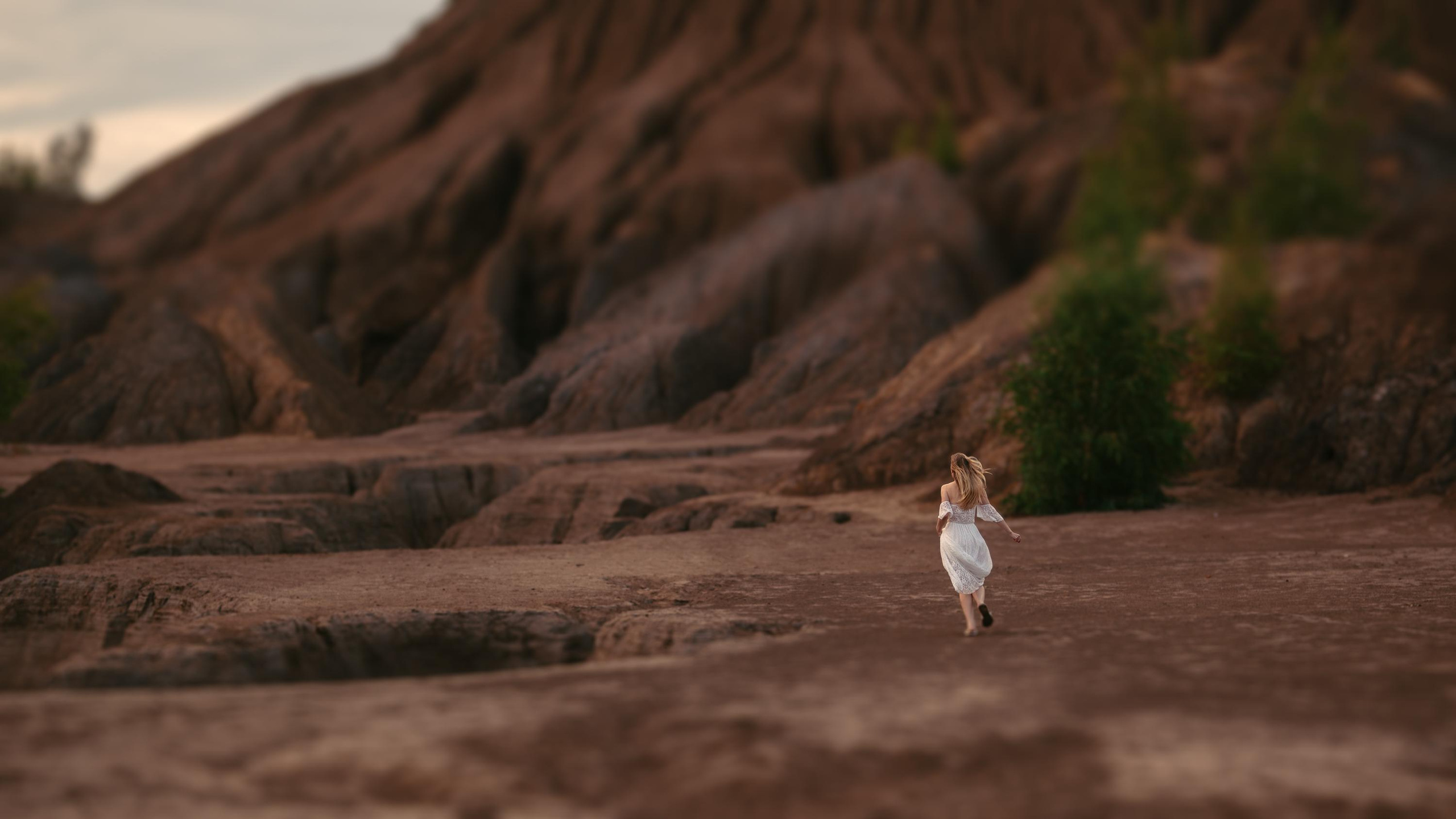 Пленер. Кондуки. Профессиональное решение для частных лиц и бизнеса