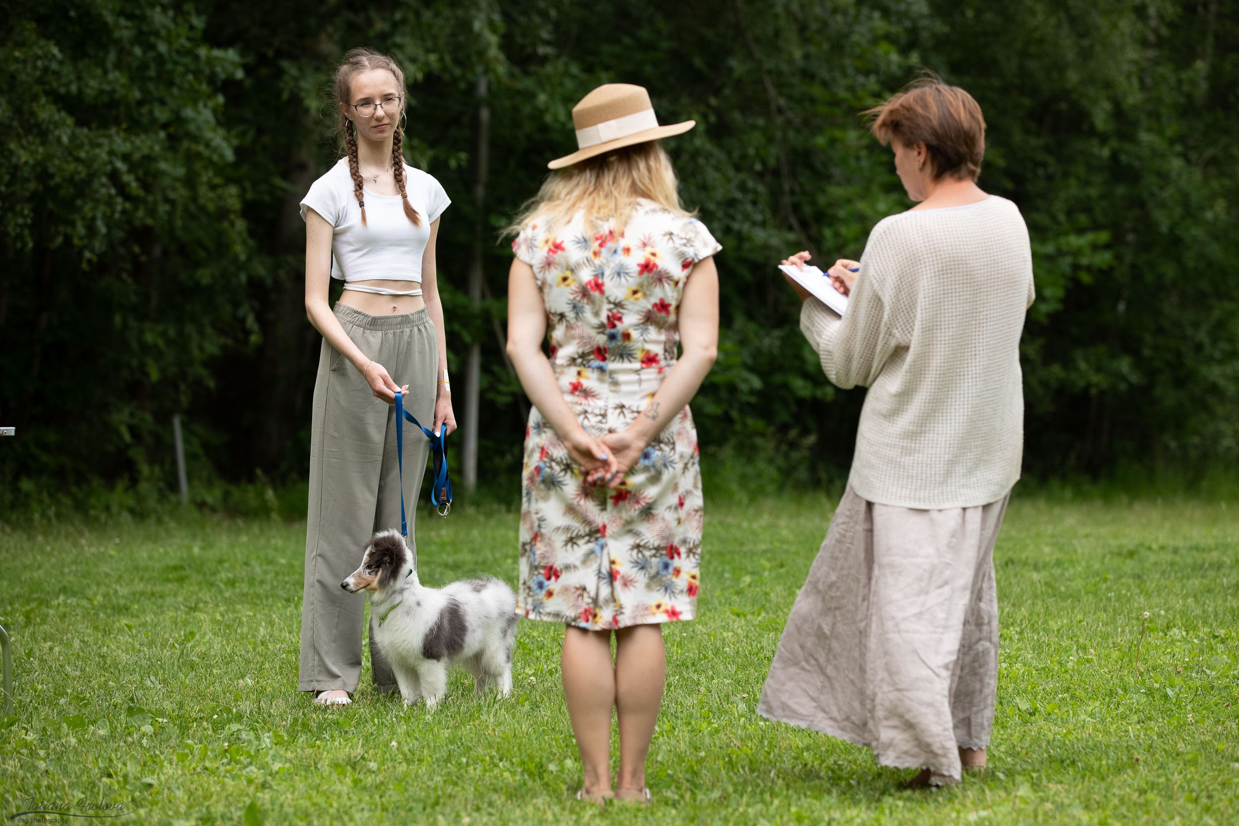 Репортаж с выводки молодняка колли/шелти в Ясенево. Фотограф-анималист в Москве и Московской области Татьяна Фролова