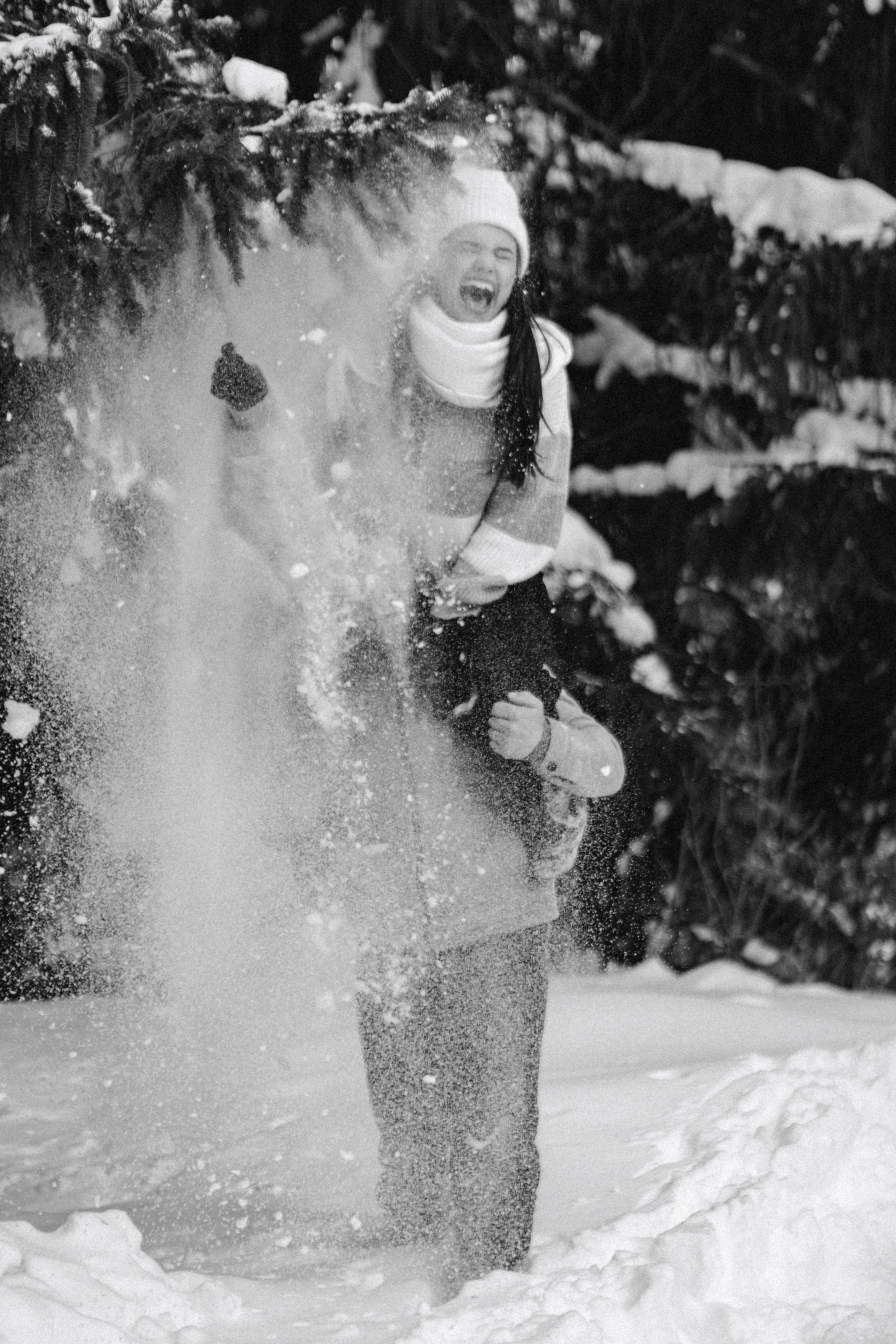 Снежинки. Գլխավոր