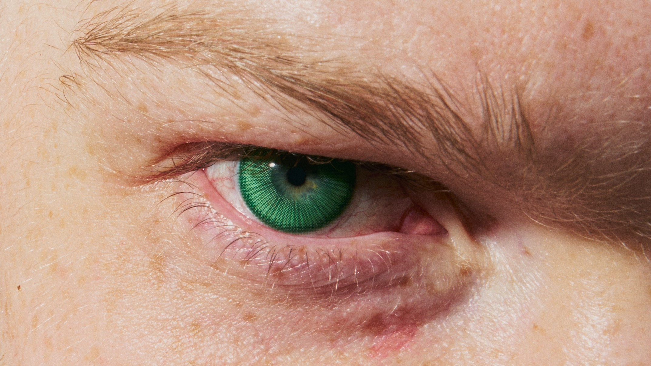 Magestic. Kosky ilya