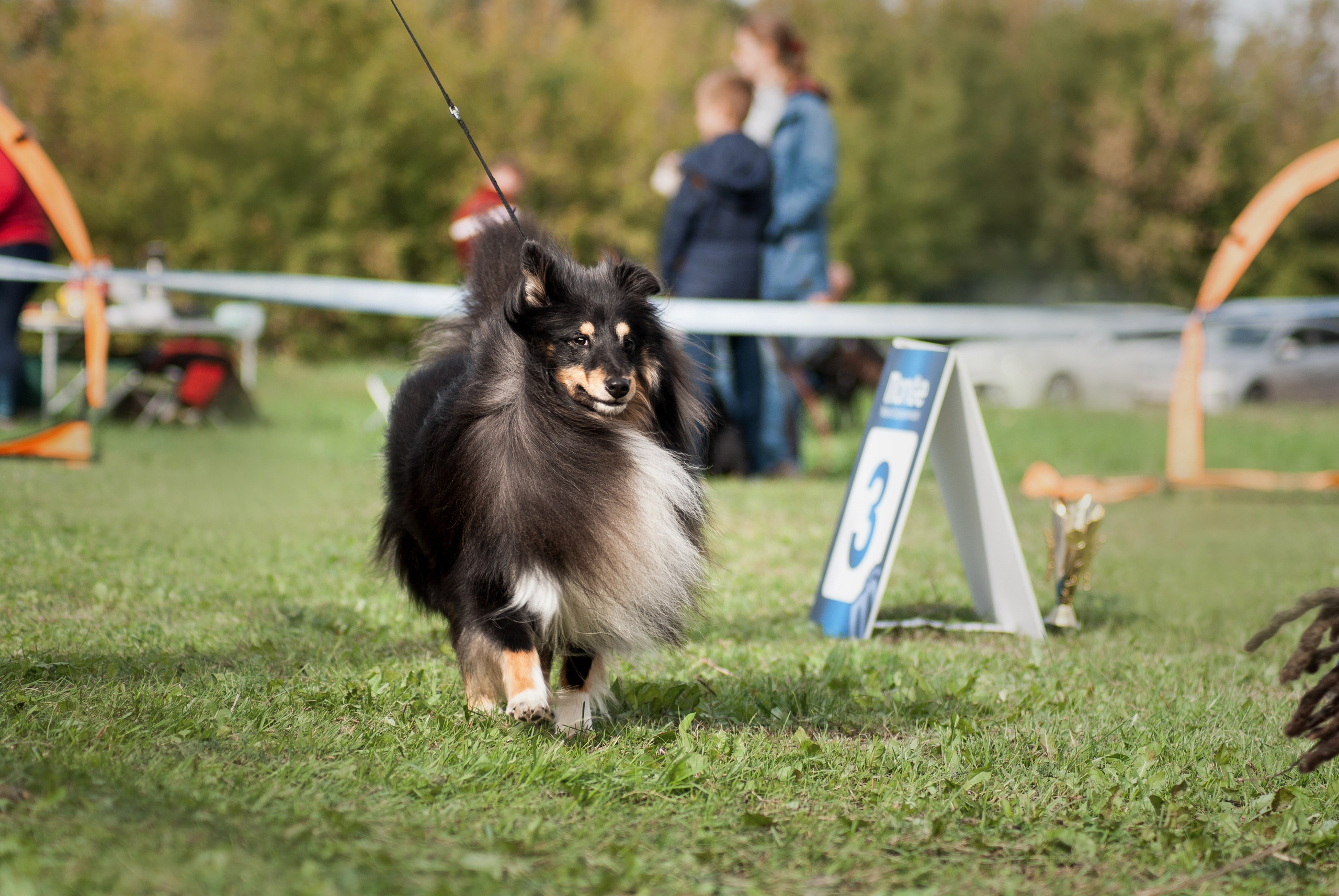 Шоу. Фотограф в Тюмени Лизавета Сапицкая