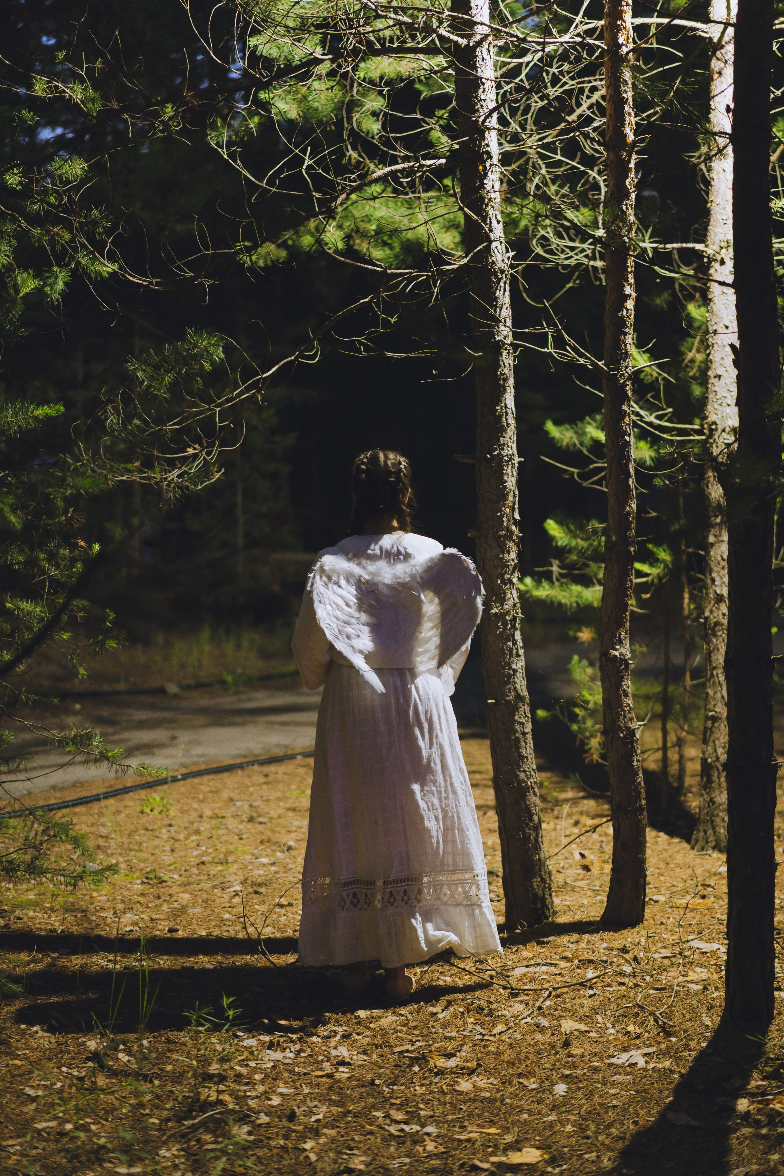 Палаточный форум CAMPot 2025. Фотограф Надежда Погребняк | Рязань | Москва