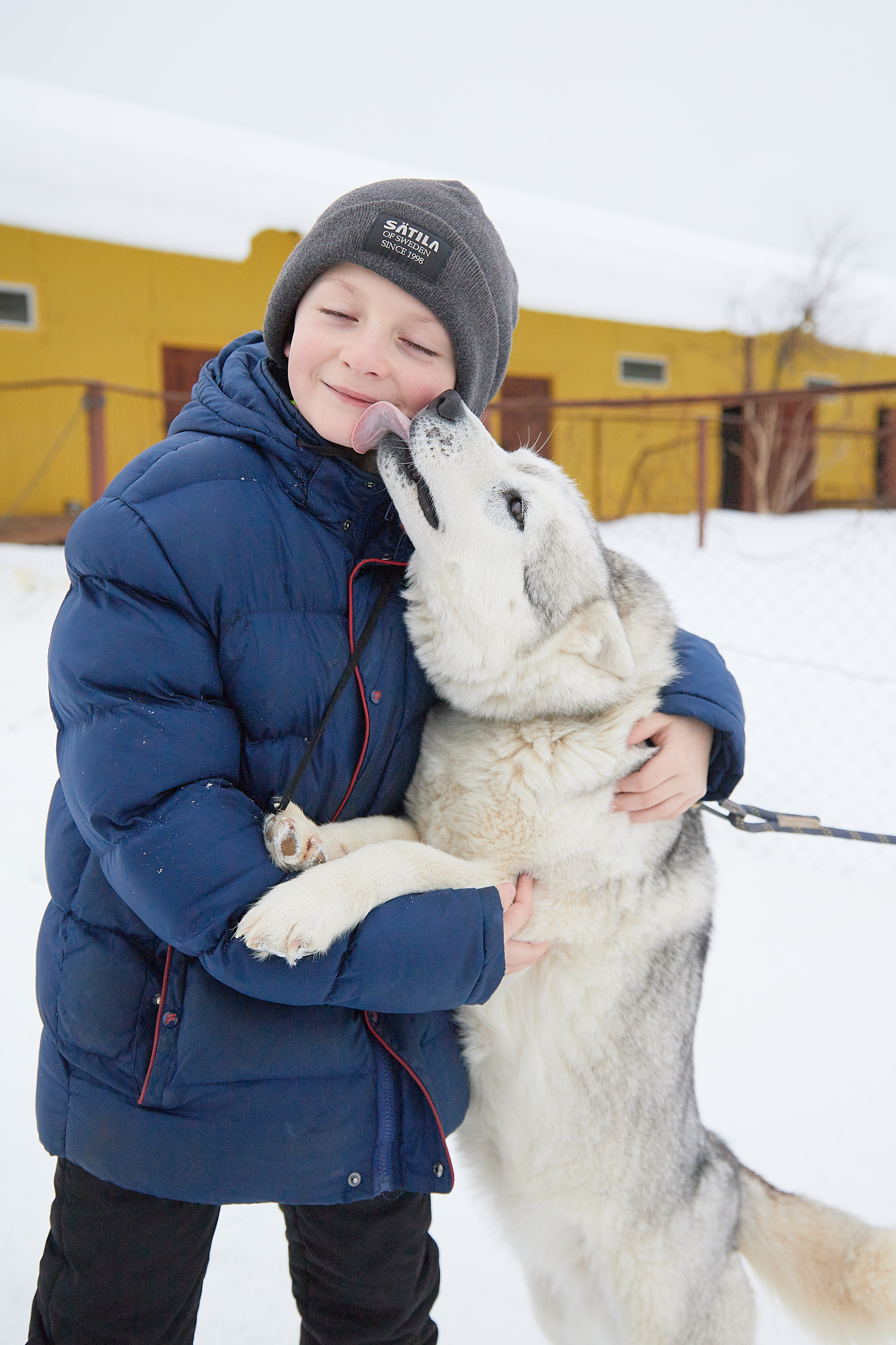 Милейшие домашние живтные. Главная