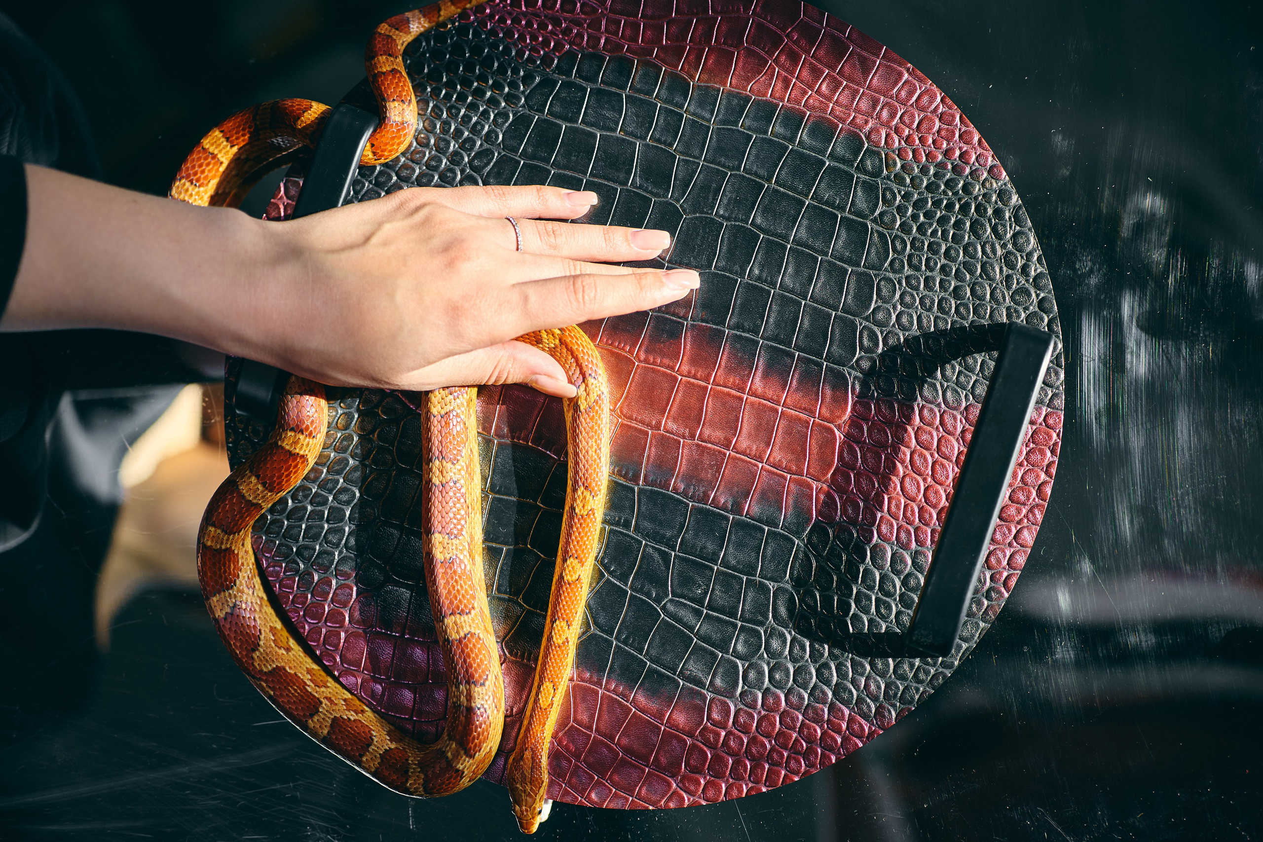 Фотографии со змеей