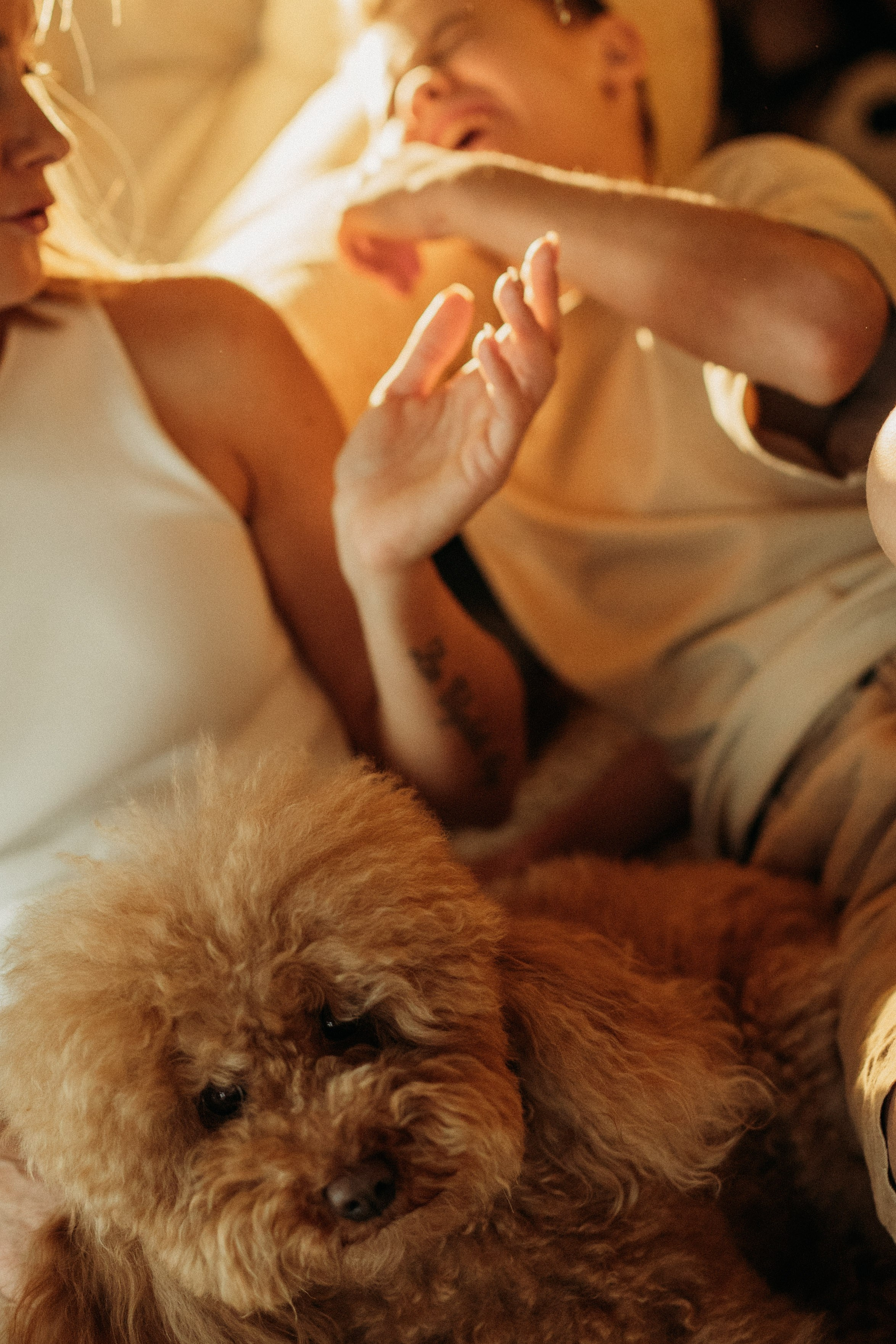 Семья Марины|Москва 2025