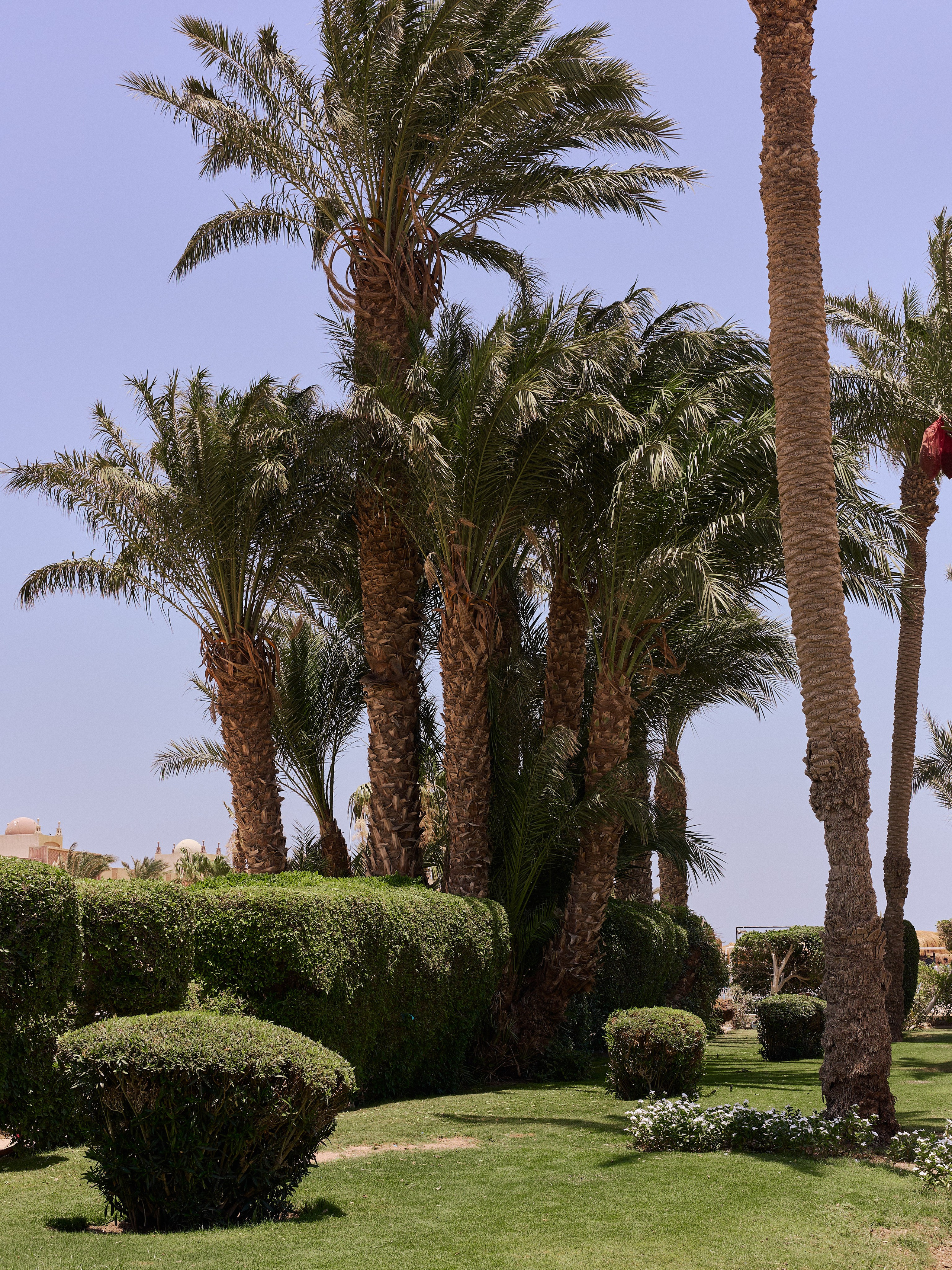 Другое 2. Jorgis Talè — photographer, kind person, teacher of arts and other mag