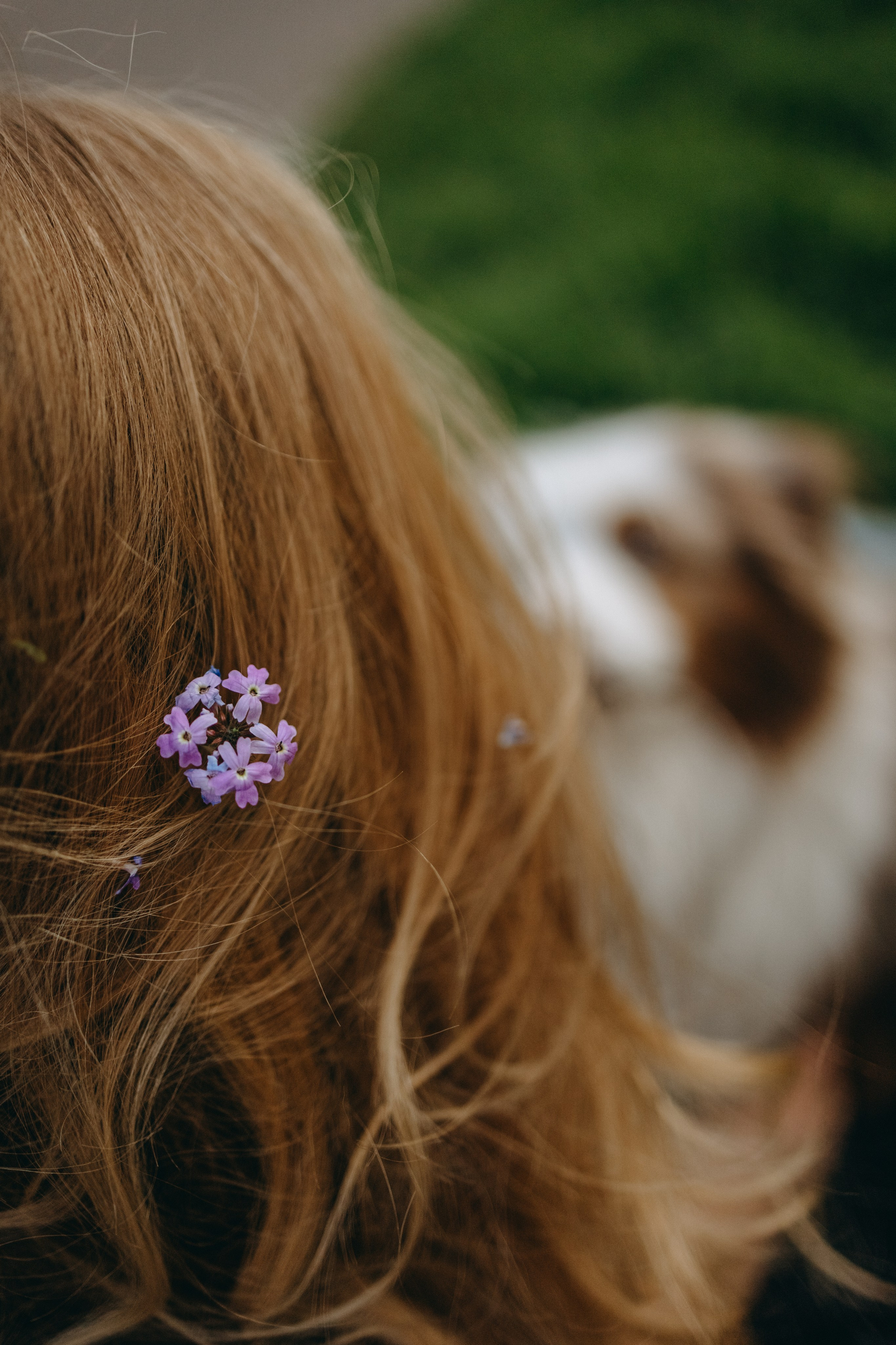 Маша и Эклер. Фотограф — Анималист | Санкт-Петербург