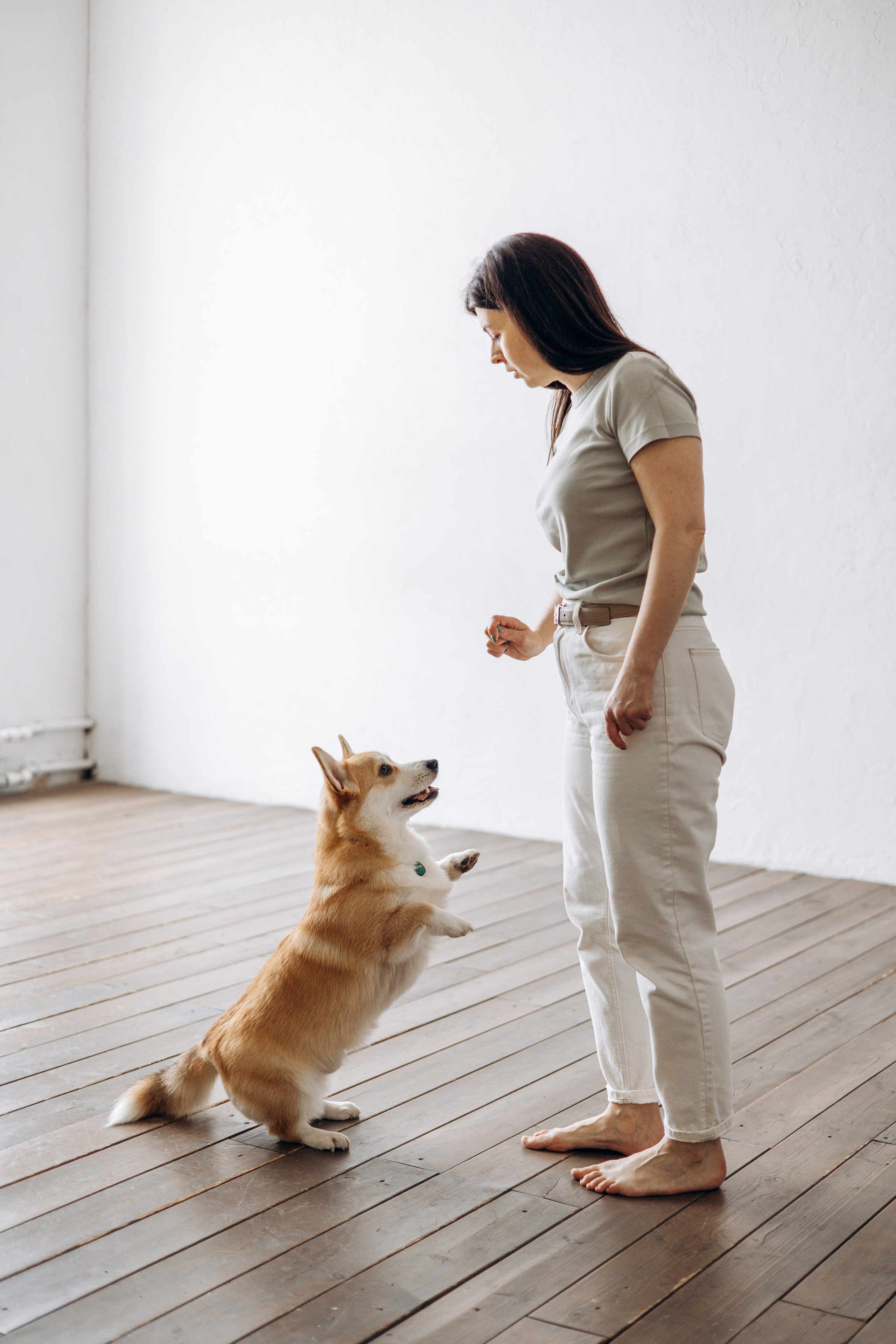 Ричи и его семья. Фотограф — Анималист | Санкт-Петербург