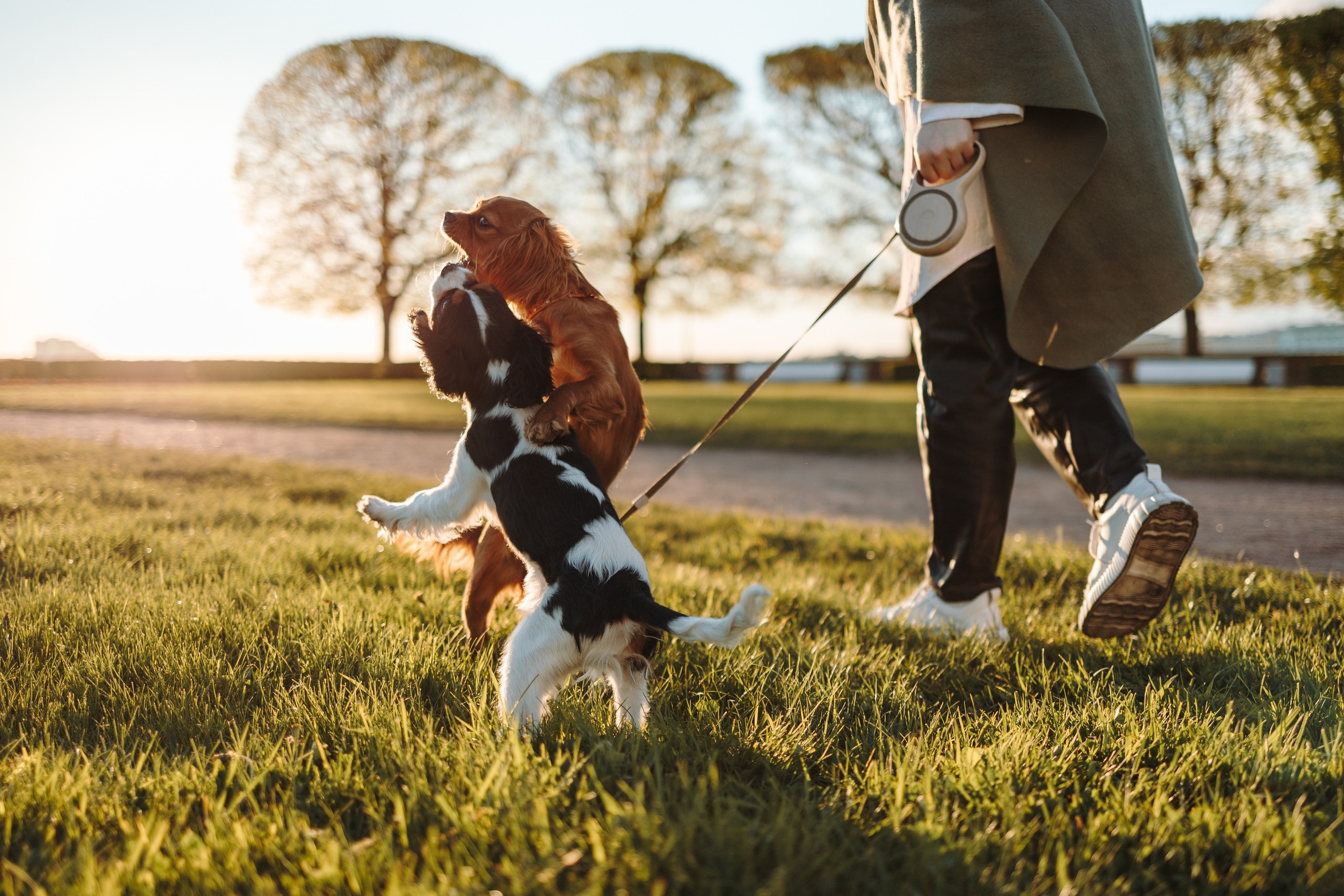 Аня, Стеша и Степан. Фотограф — Анималист | Санкт-Петербург