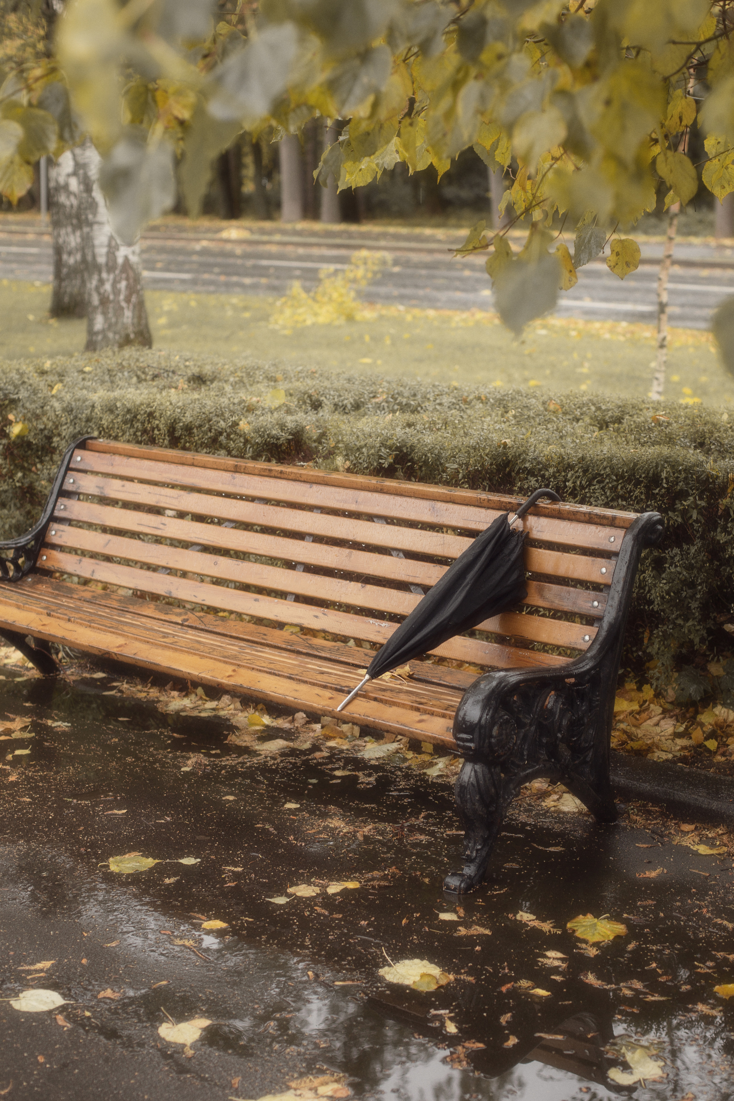 Кинофото. Детский и семейный фотограф Щелково и Москва, Мария Силаева