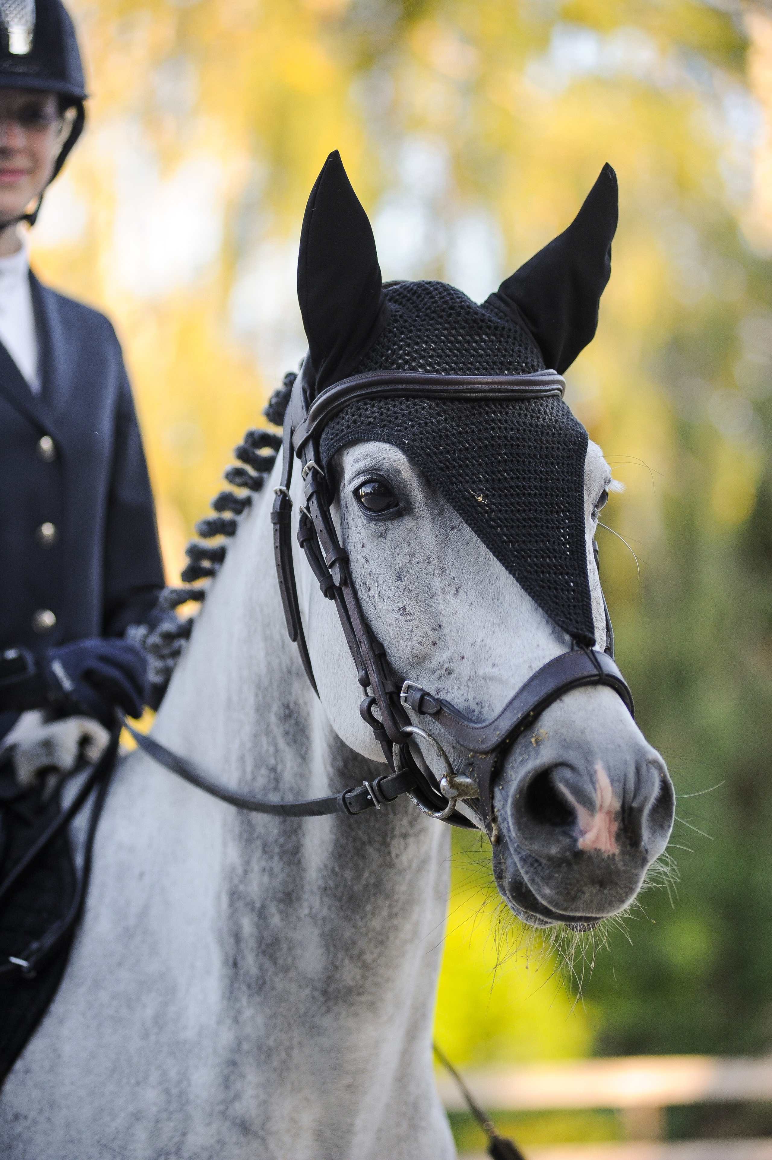 Конкур в конном клубе, репортаж Москва. Фотограф, визажист. Москва