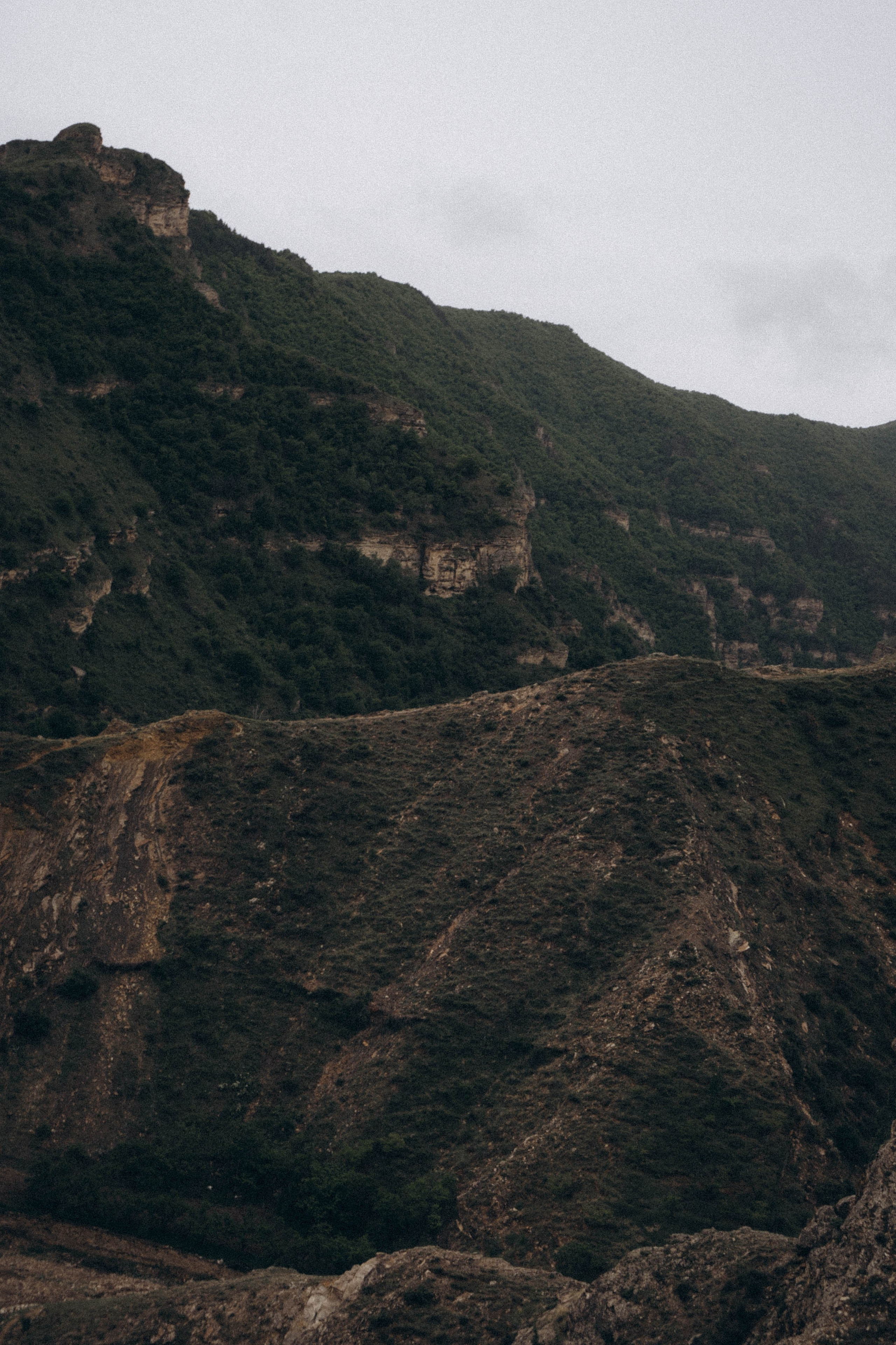 Кавказ. Профессиональный фотограф, Санкт-Петербург — Виктория Богомолова