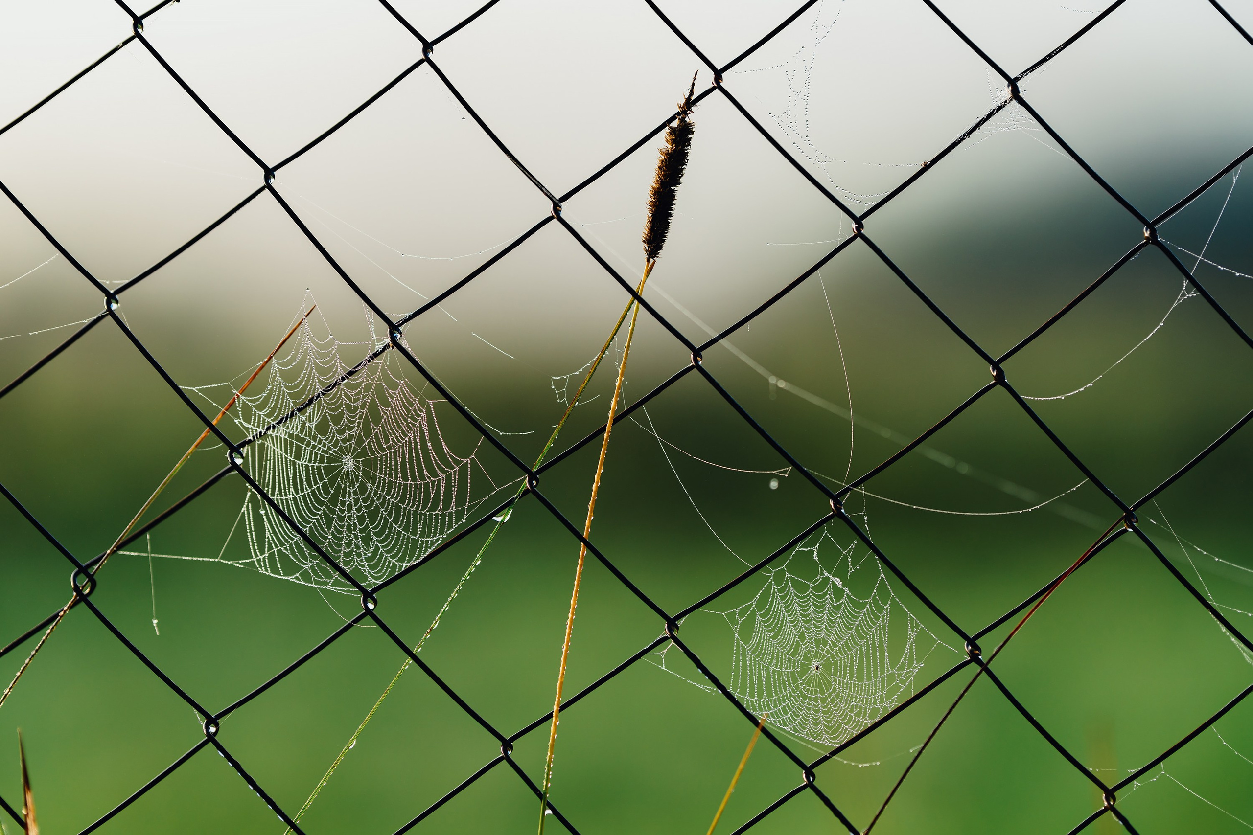 Фотографии Национальный парк Угра. Фотограф спортивные события, недвижимость, турбизнес