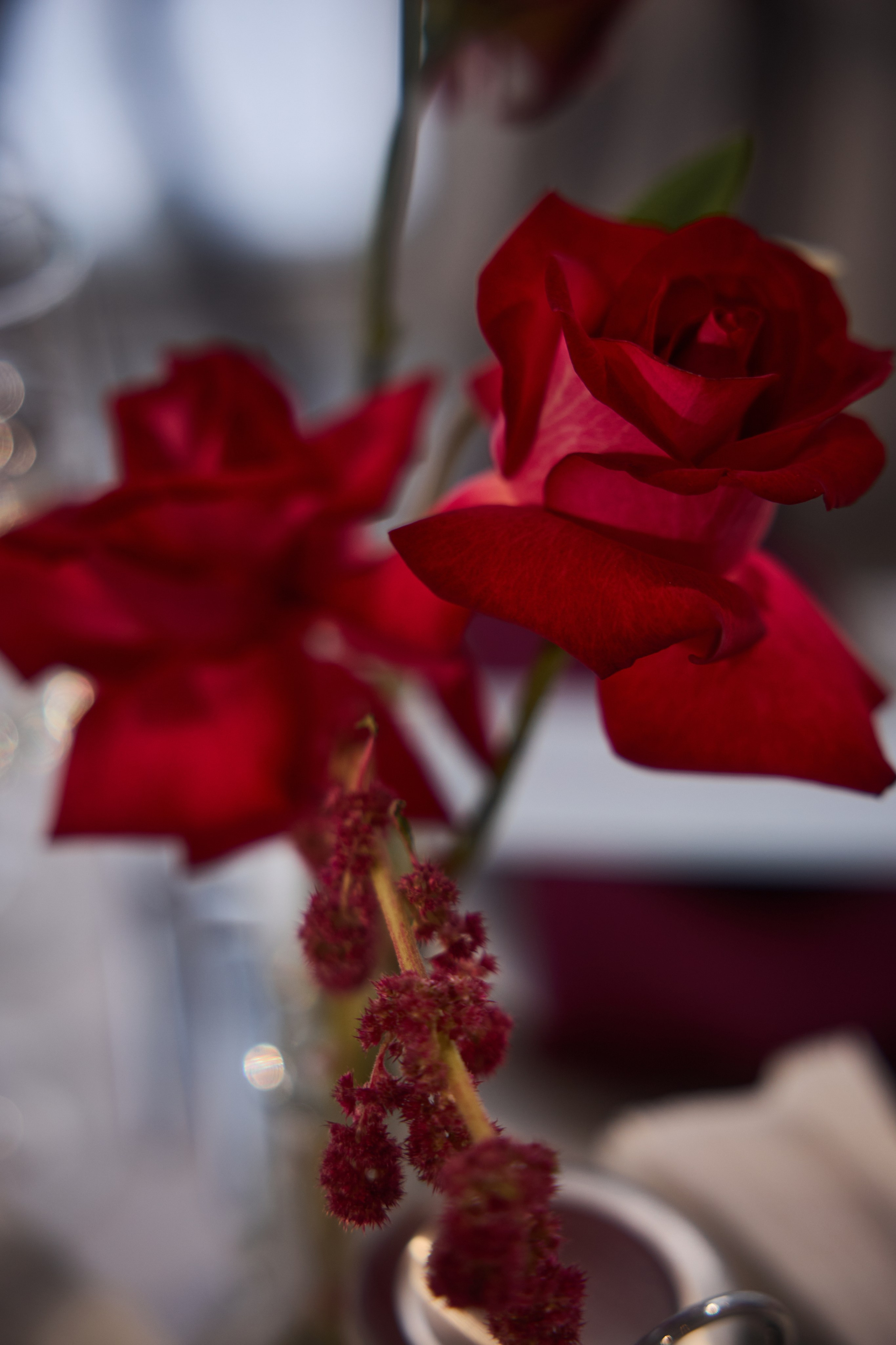 Дмитрий и Анна. Kharchenkotatianaweddingphoto