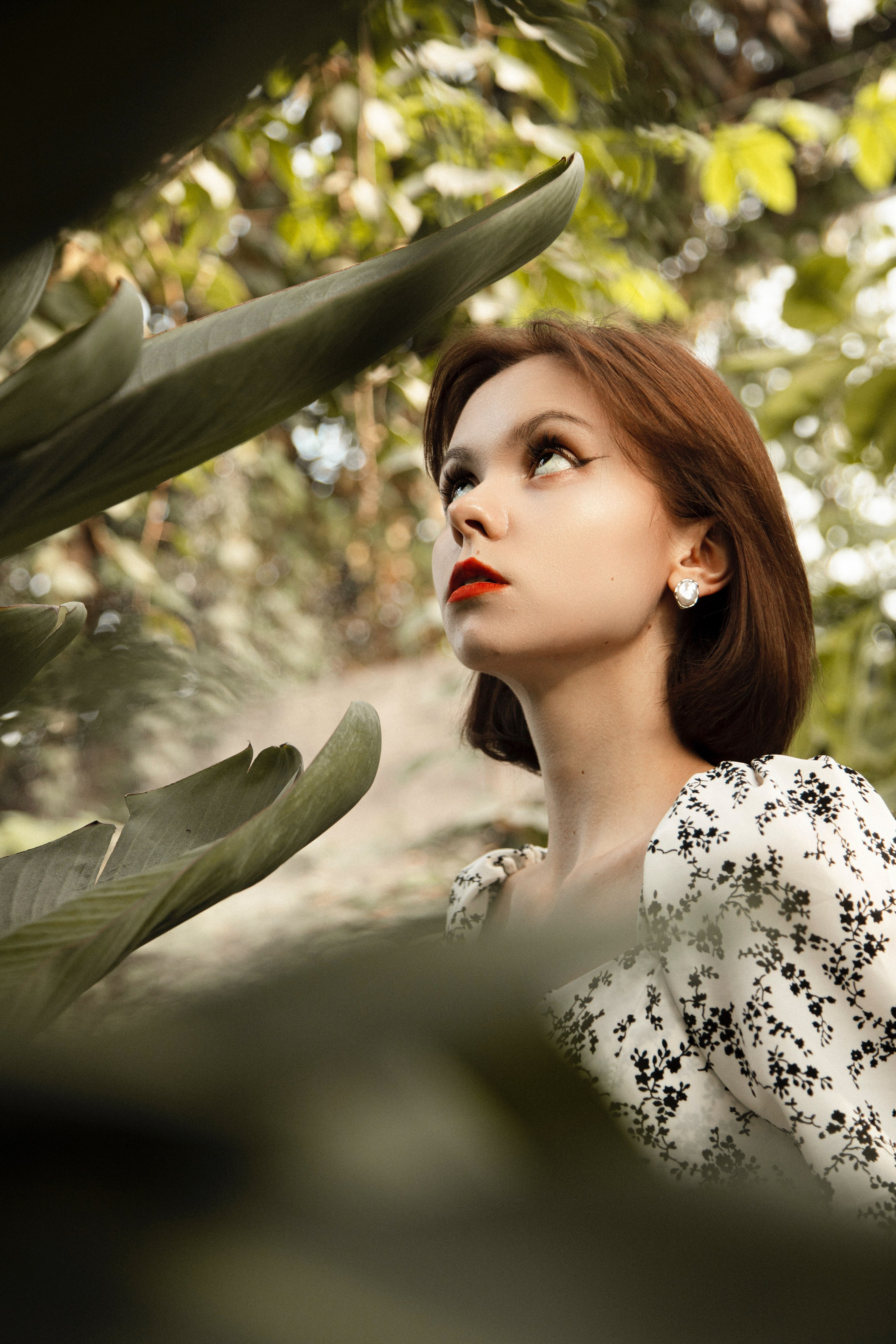 Оранжерея Таврического сада