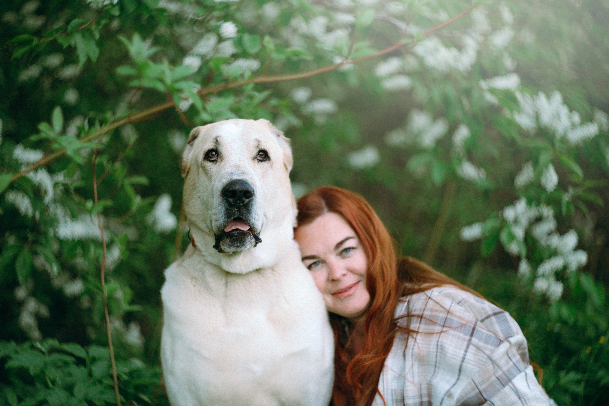 Настя и Рахат. Фотограф анималист в Москве и Санкт-Петербурге Свиридова Анна