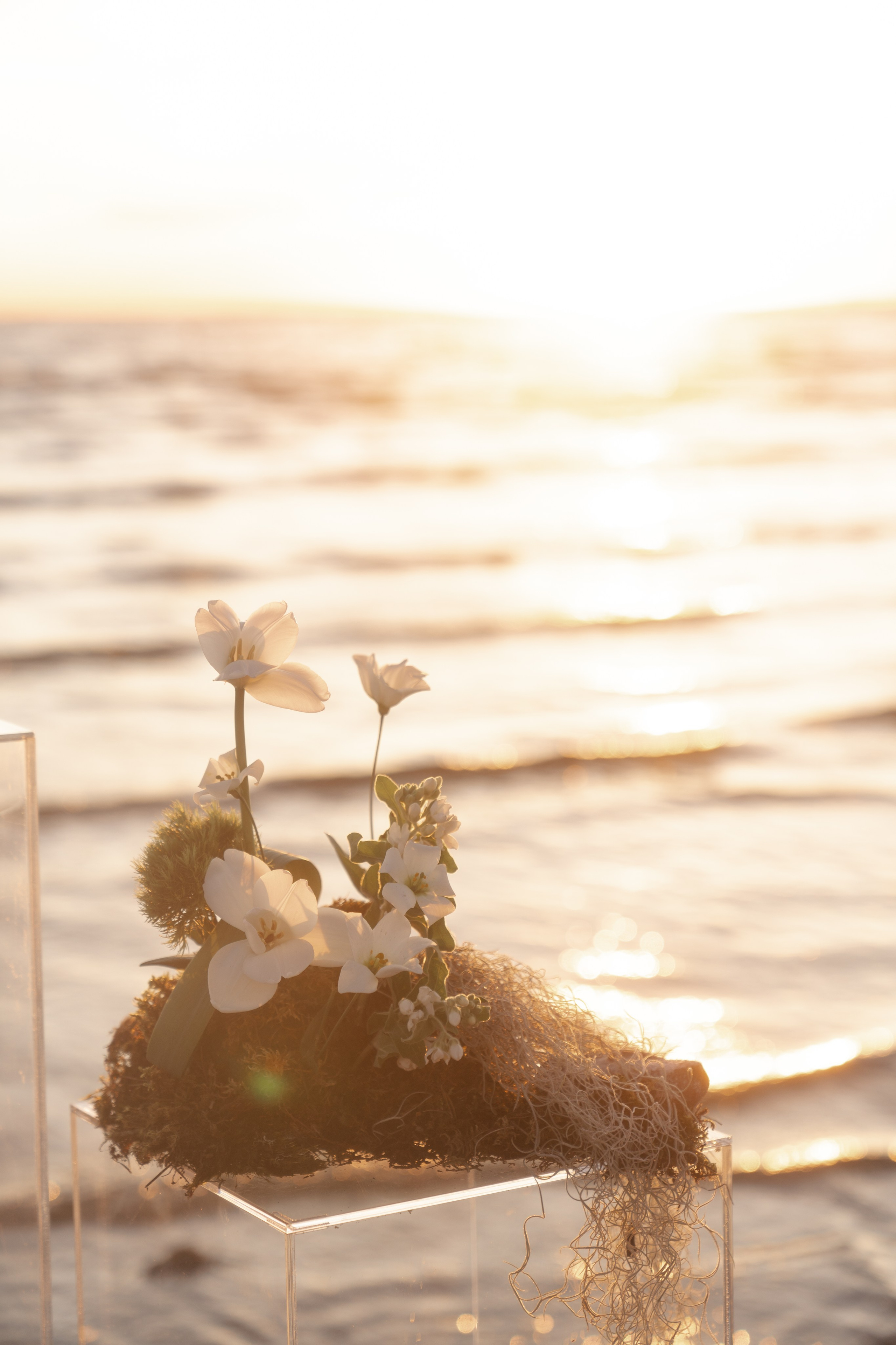 My light. Свадебный фотограф Наташа Брифли