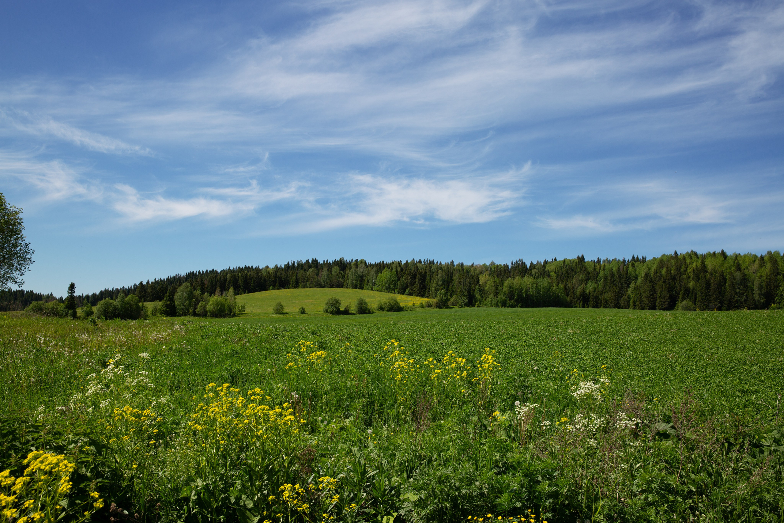 Пермь- Хохловка-Белогорье. Мой фотомир