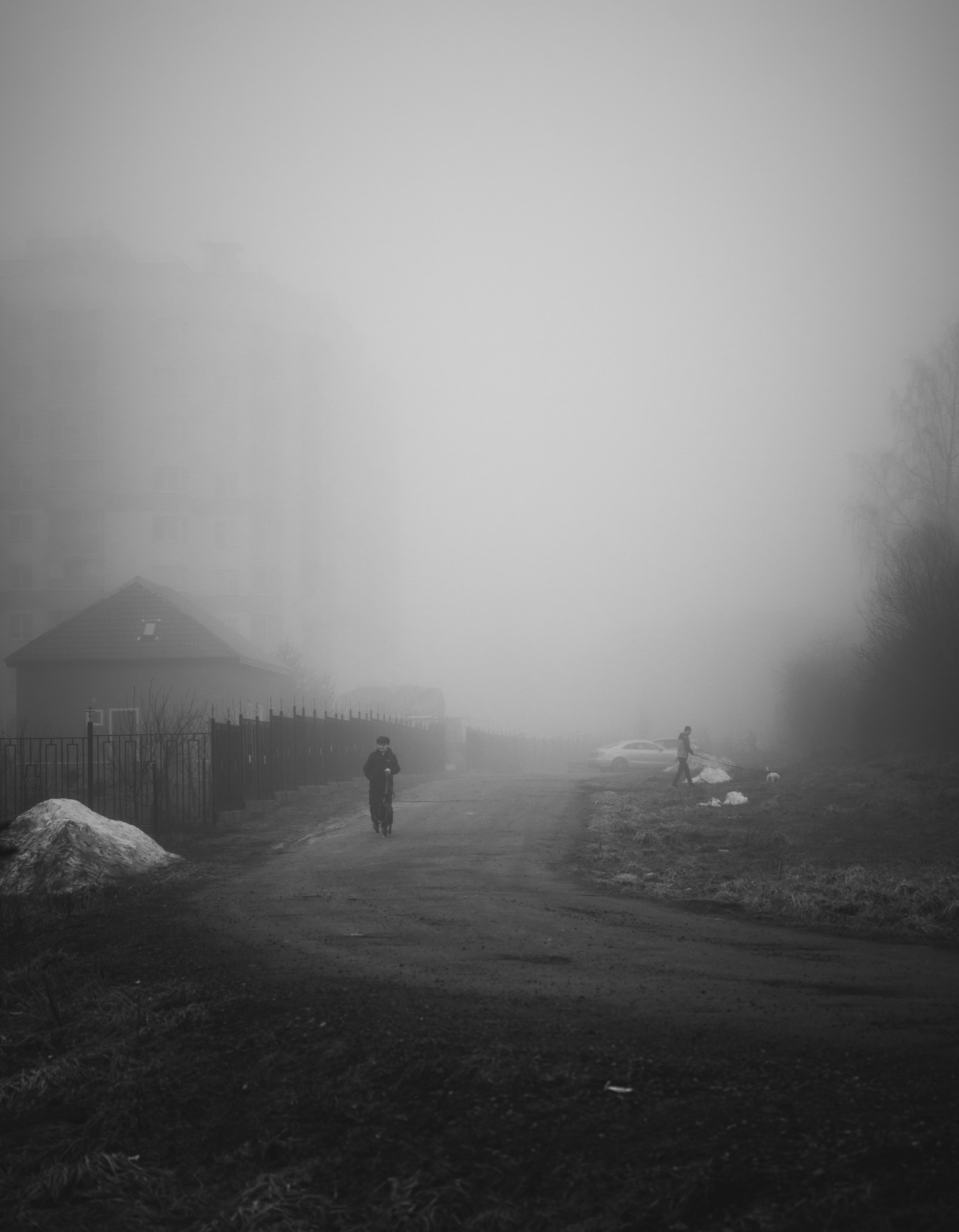 Туман, утренний туман в Санкт-Петербурге, туман в Романовке Санкт-Петербург, туман в черно-белом стиле, фото тумана в Санкт-Петербурге Ленинградская область 