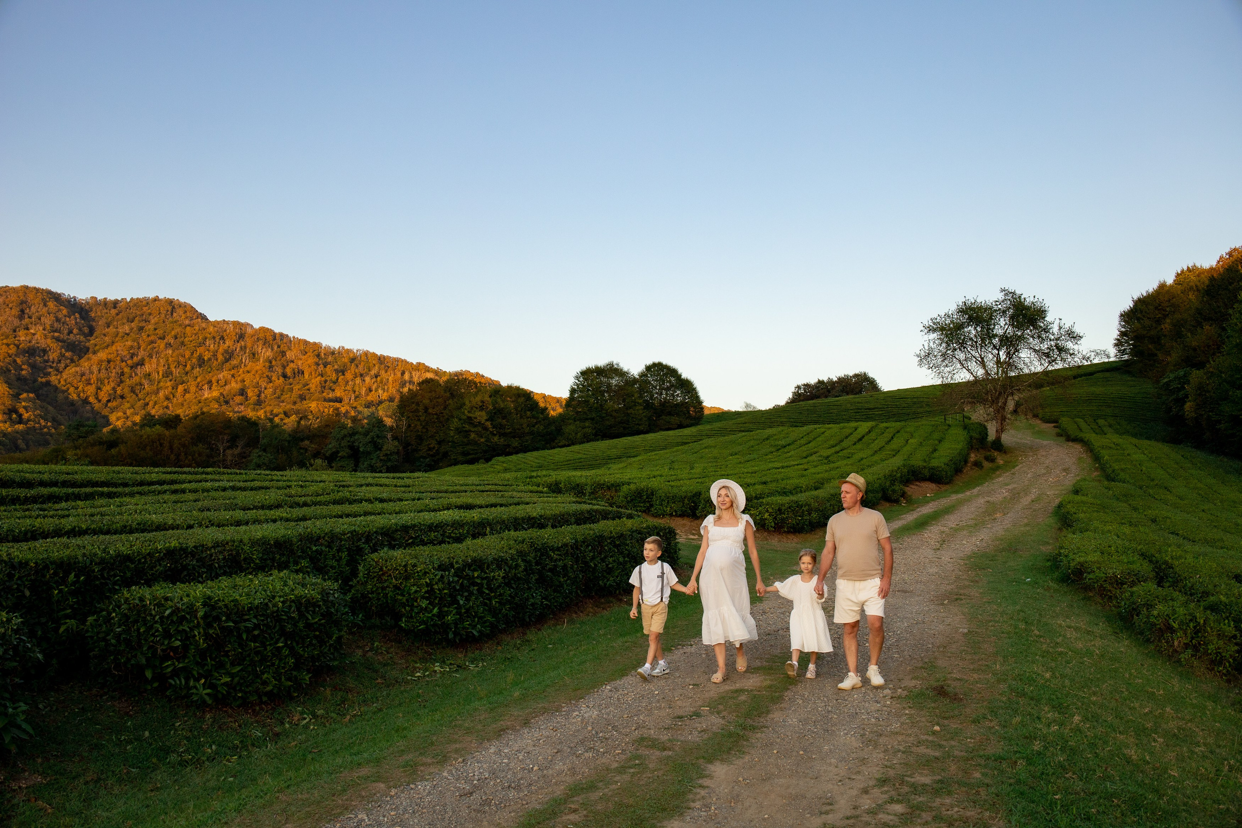 Пикник на Чайных Плантациях. Семейный и Свадебный фотограф в Сочи