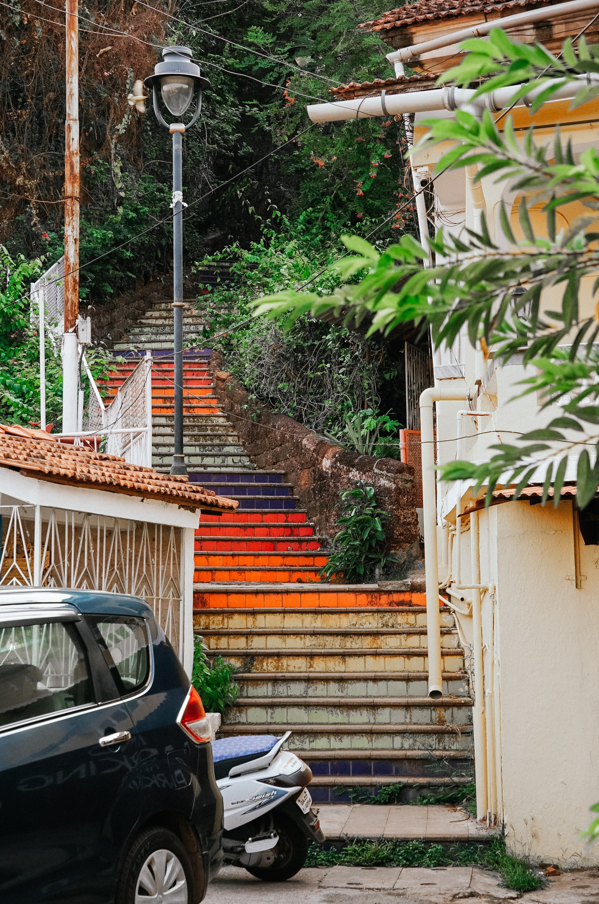 Индия. Живые снимки! Фотограф Даша Бендер