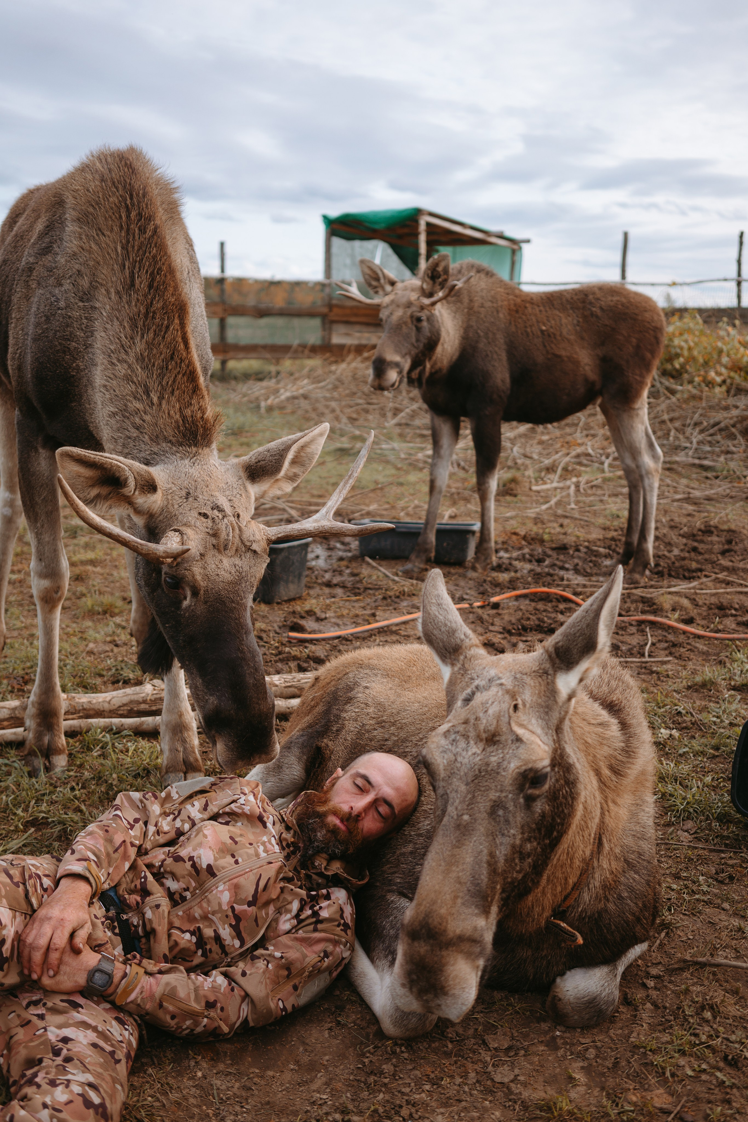 Художественные. Главная