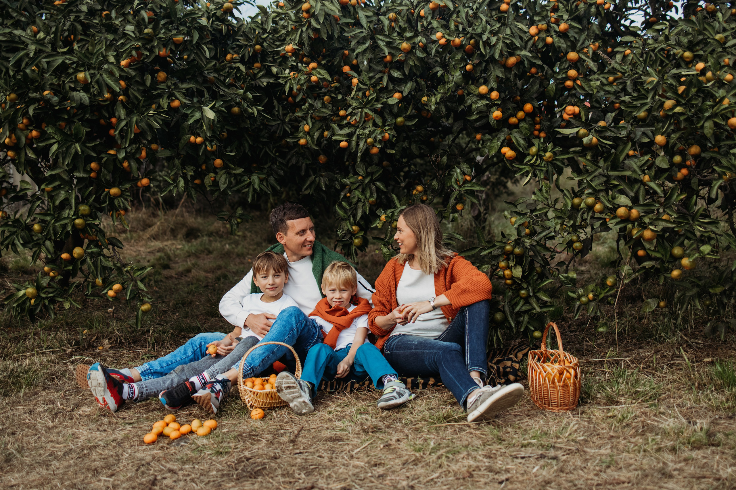 Мандариновая роща. Фотограф Сочи Татьяна Зорина