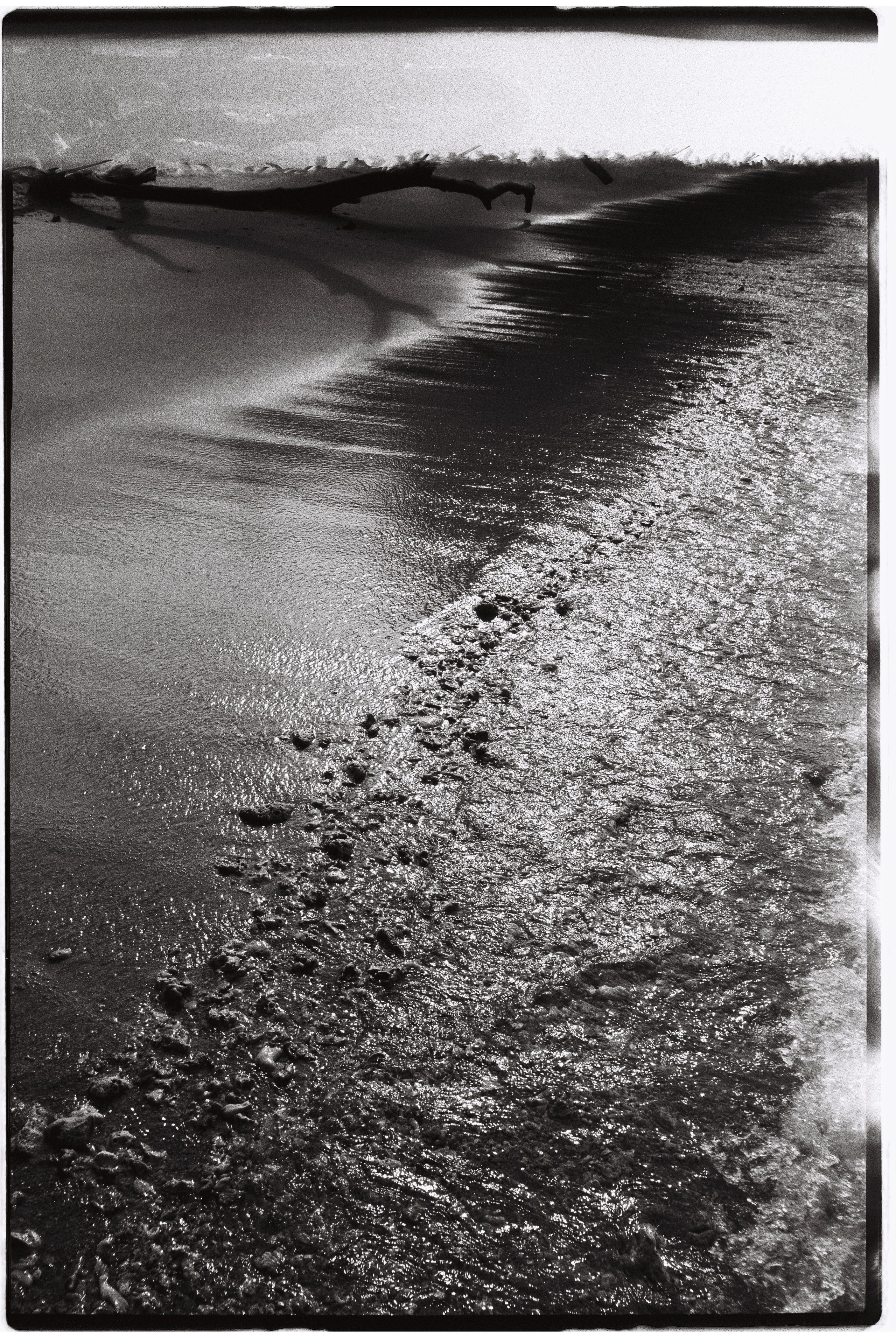 Пленка. Фотограф Андрей Куськало